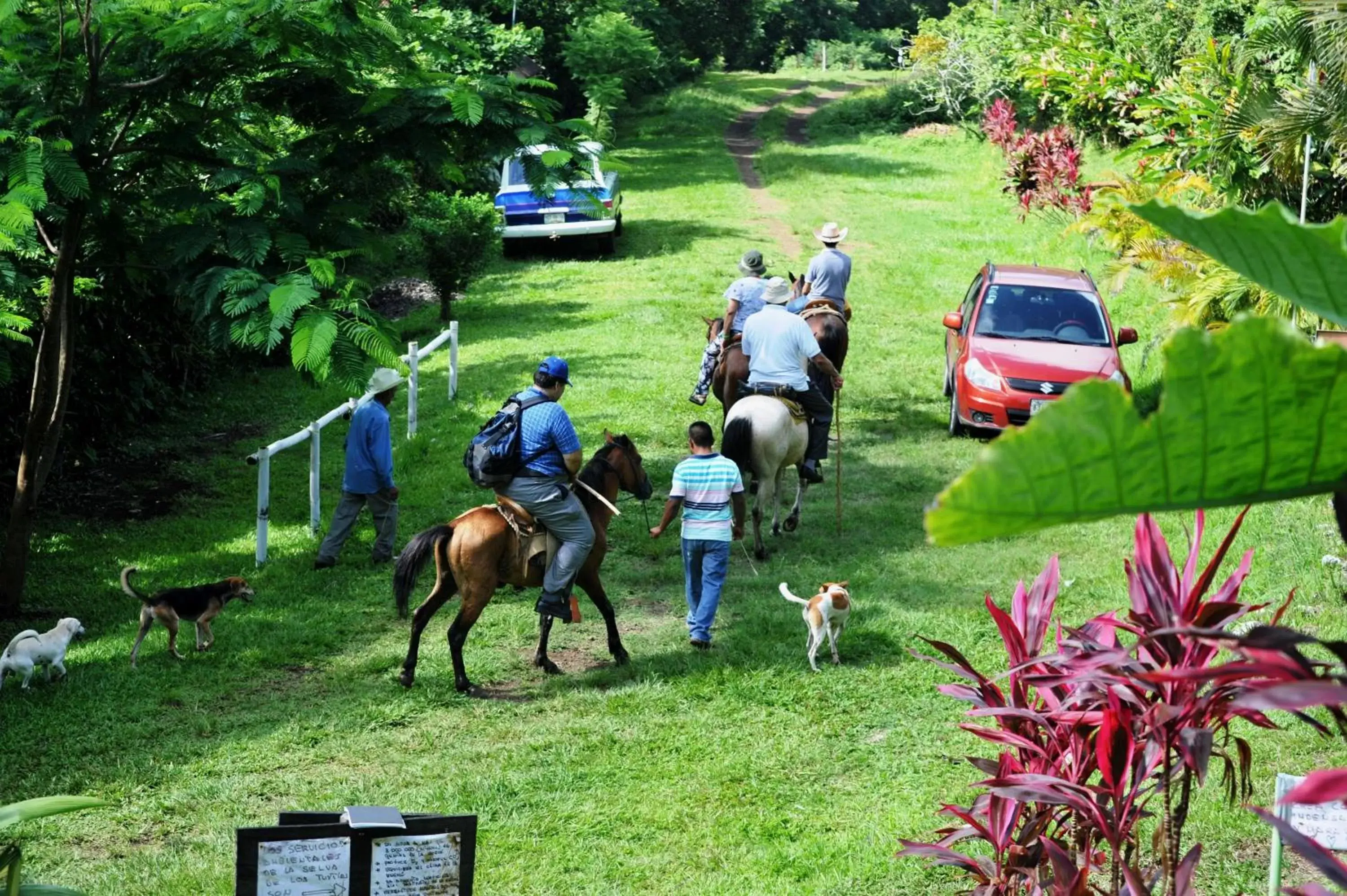 Horseback Riding in Ecobiosfera