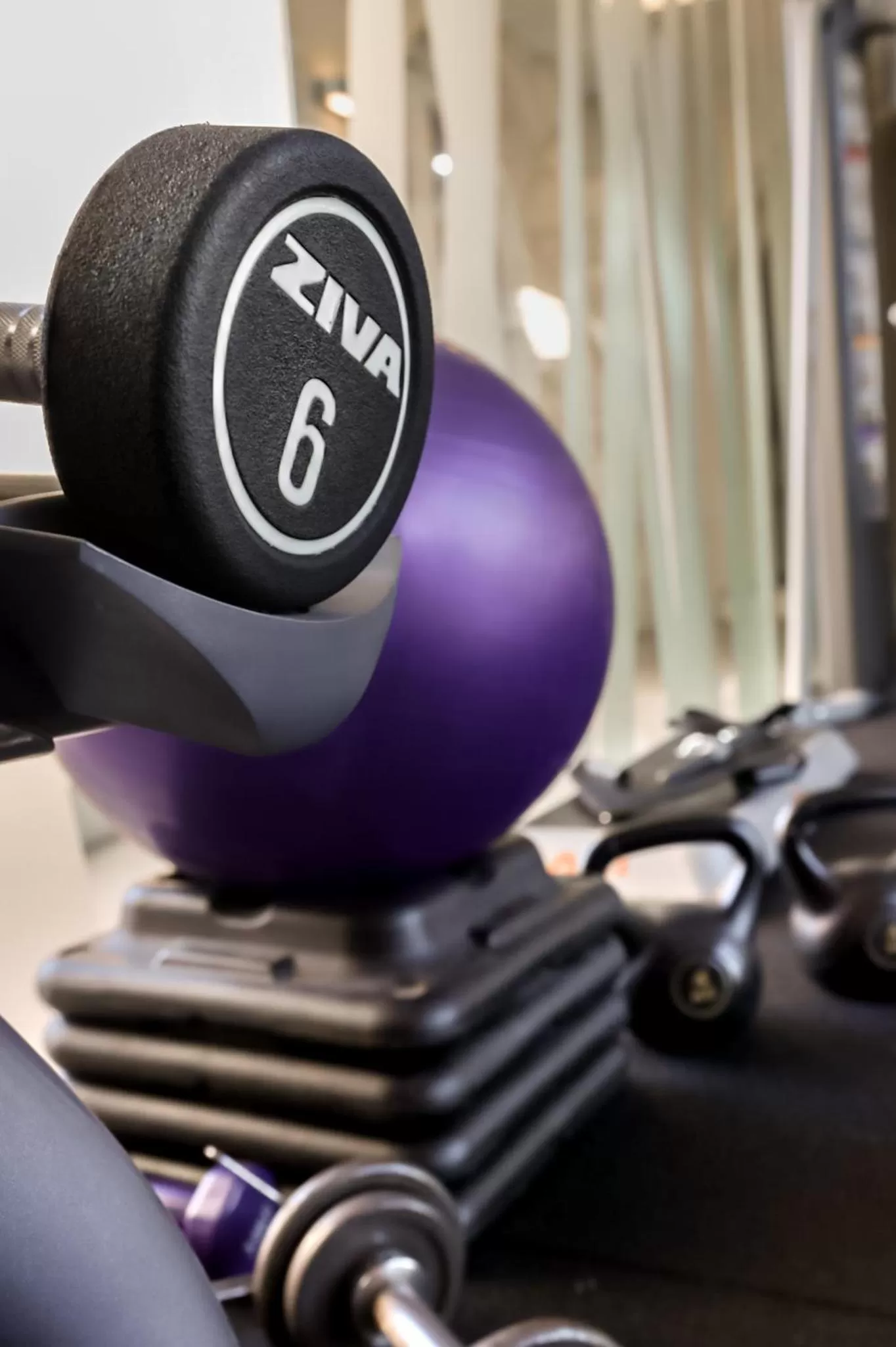 Fitness centre/facilities in Cottage Carrasco