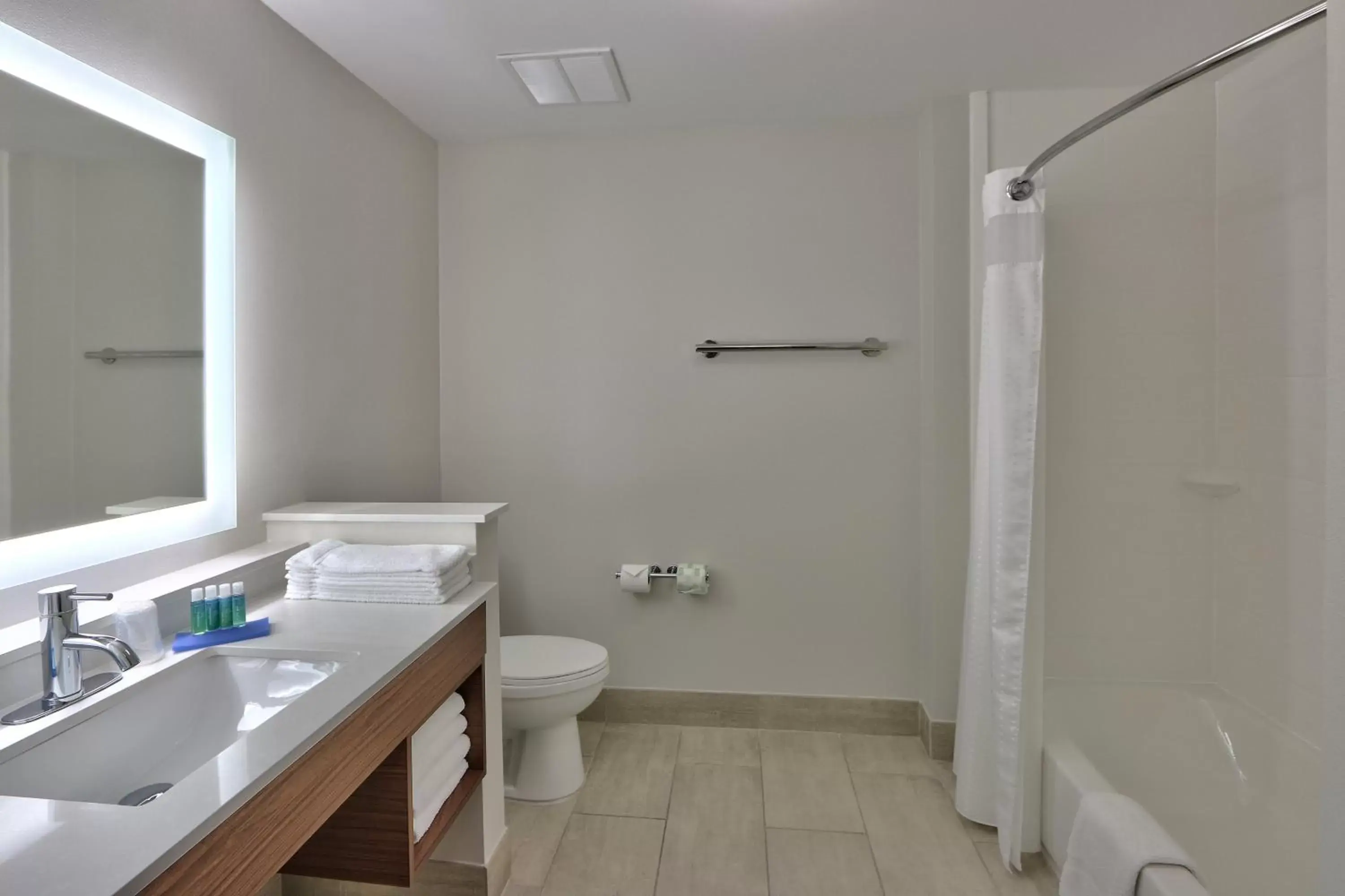 Bathroom in Holiday Inn Express & Suites - Houston East - Beltway 8, an IHG Hotel