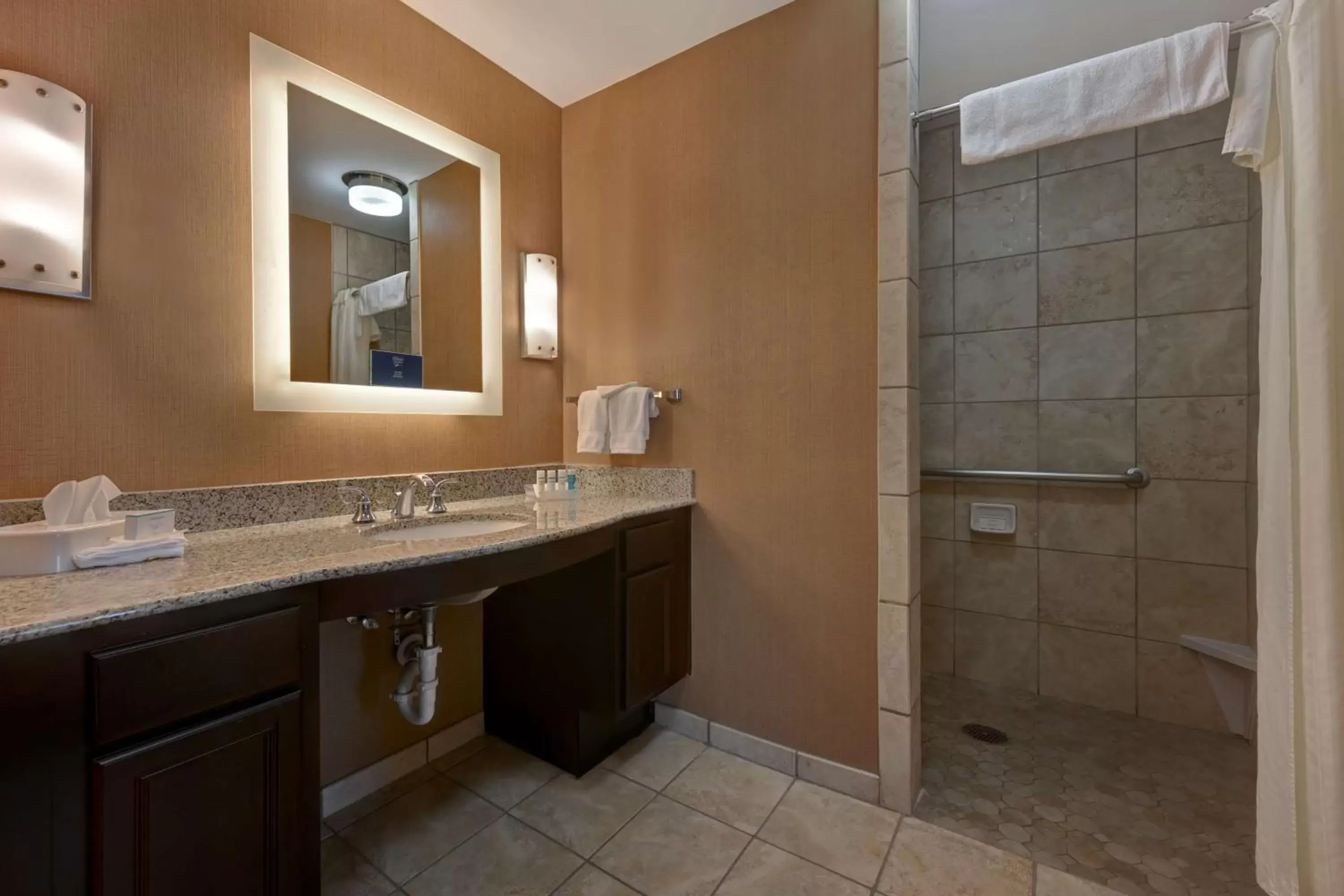 Bathroom in Homewood Suites by Hilton Denver Tech Center