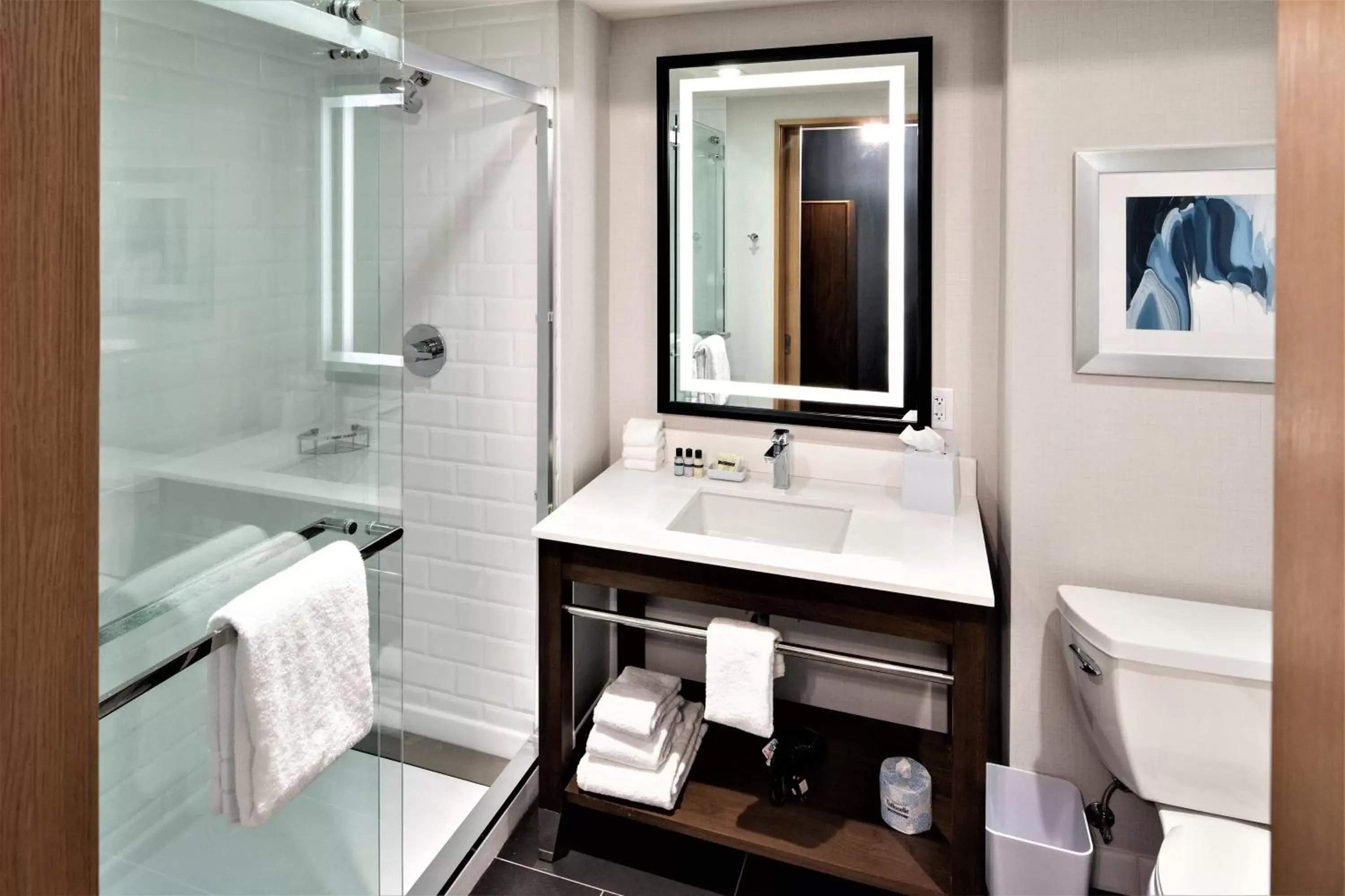 Bathroom in Four Points by Sheraton Albany