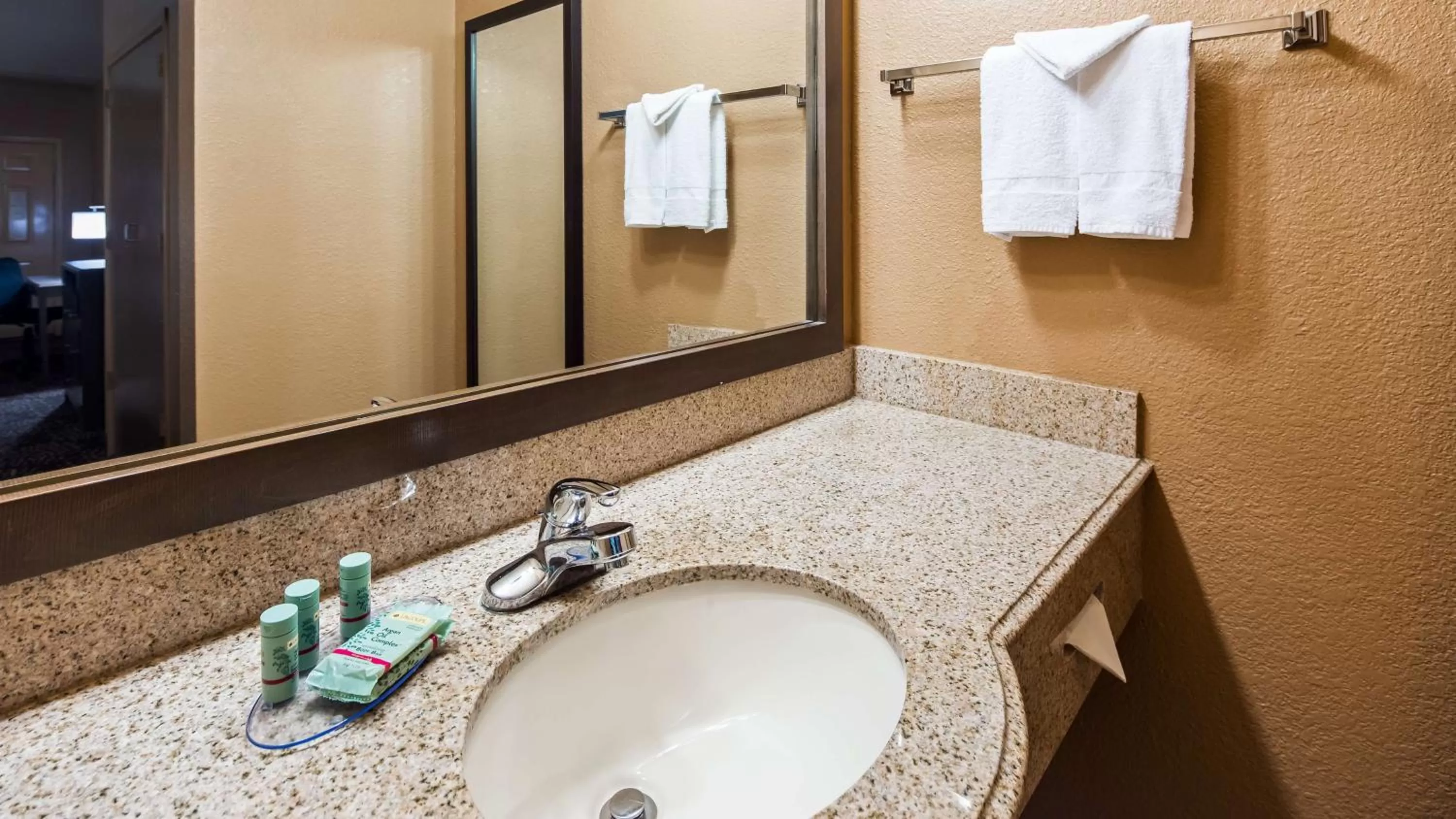 Bathroom in Best Western Executive Inn El Campo