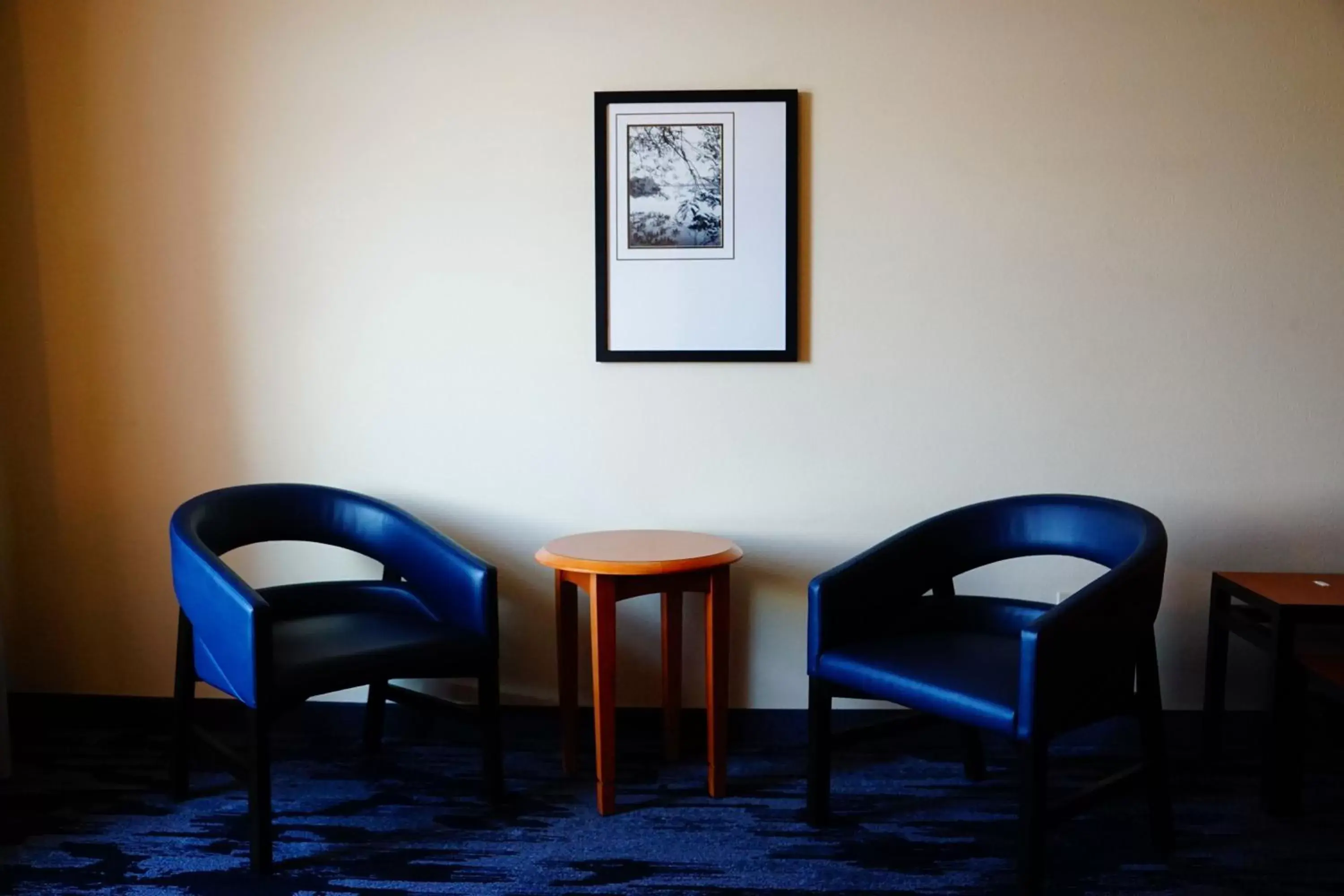 Photo of the whole room, Seating Area in Fairfield Inn & Suites by Marriott Denver Aurora/Parker