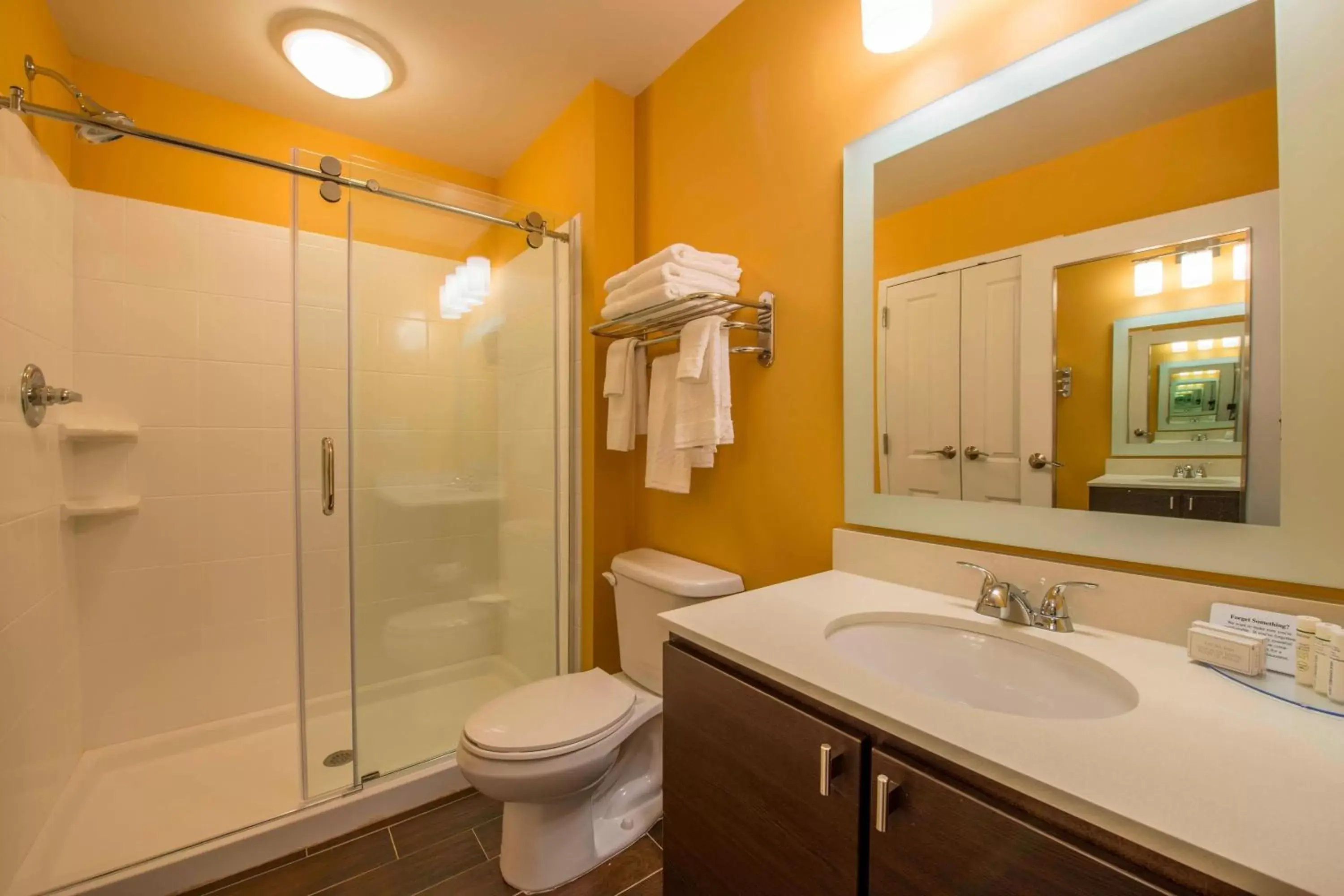 Bathroom in TownePlace Suites by Marriott Newnan