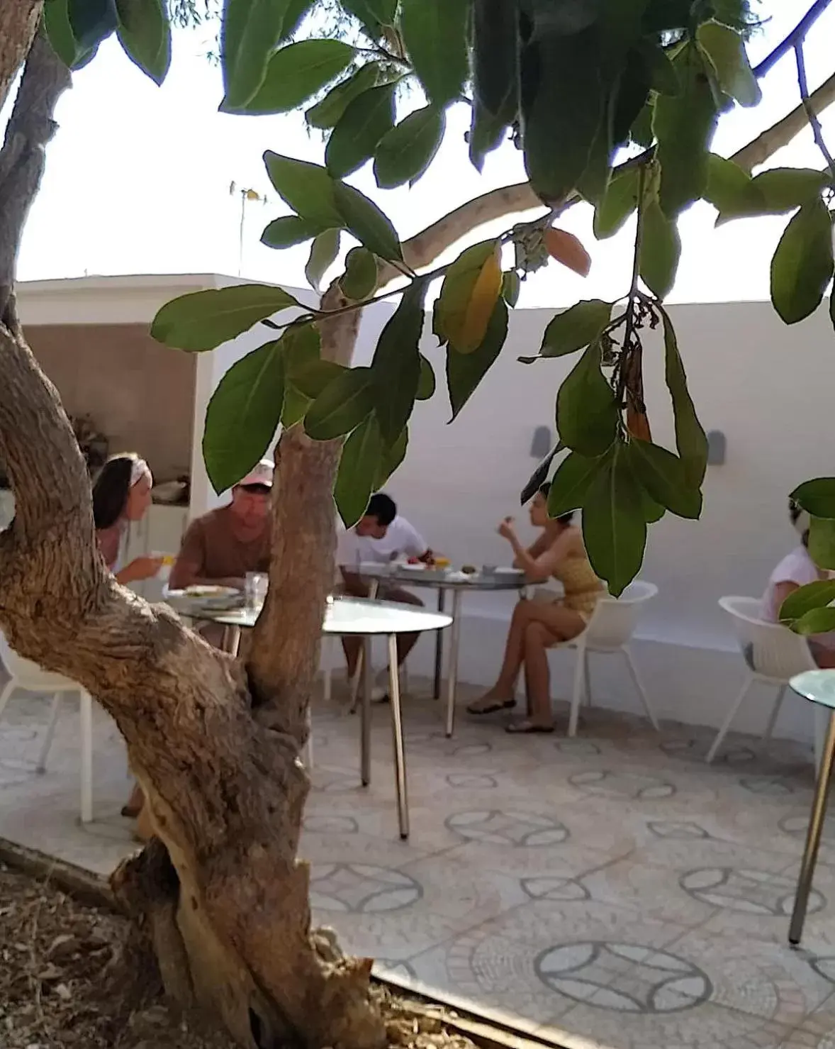 Buffet breakfast in Starbal Love Buffet breakfast in Starbal Love