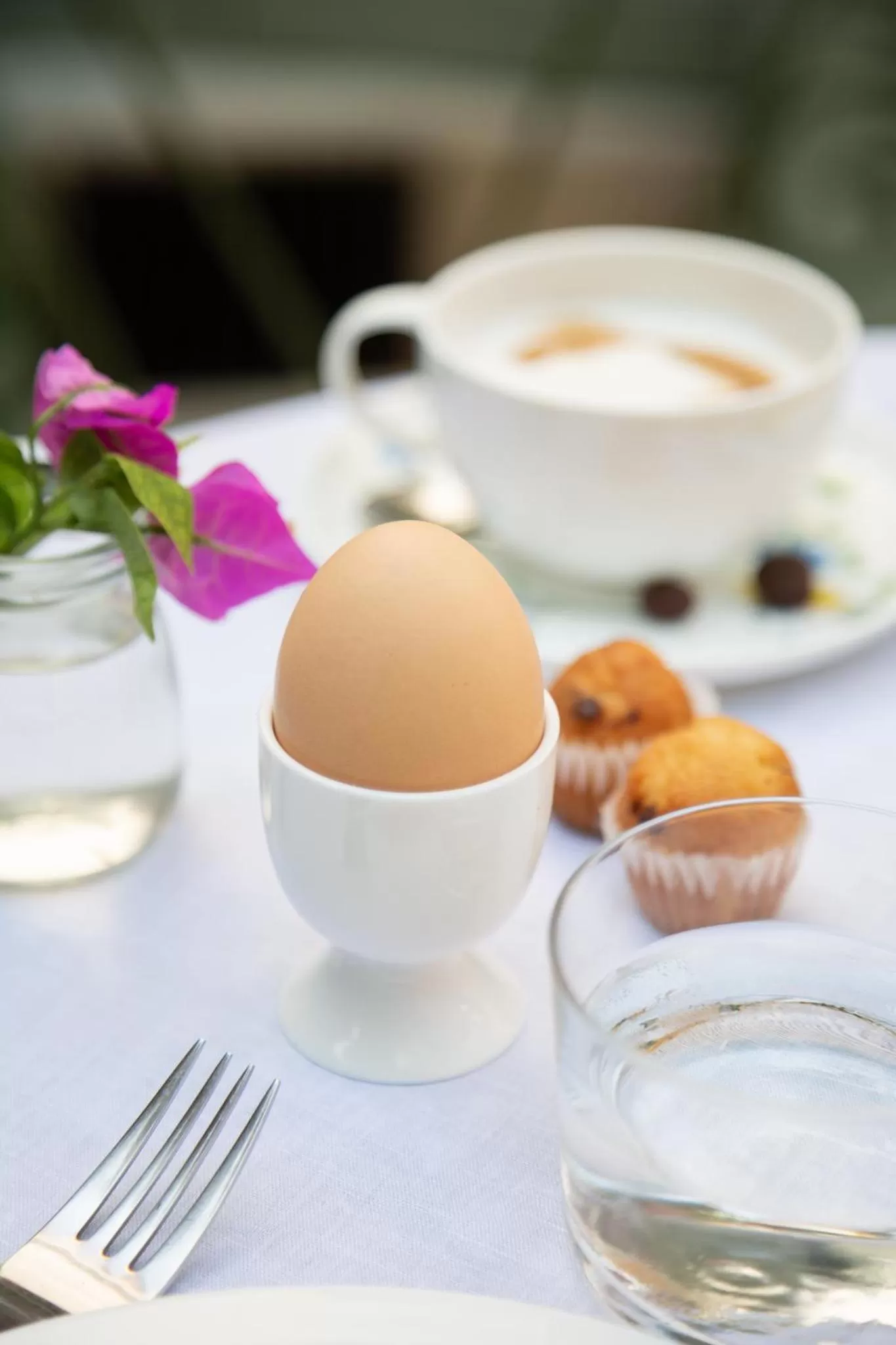 Can Moio Turismo de Interior