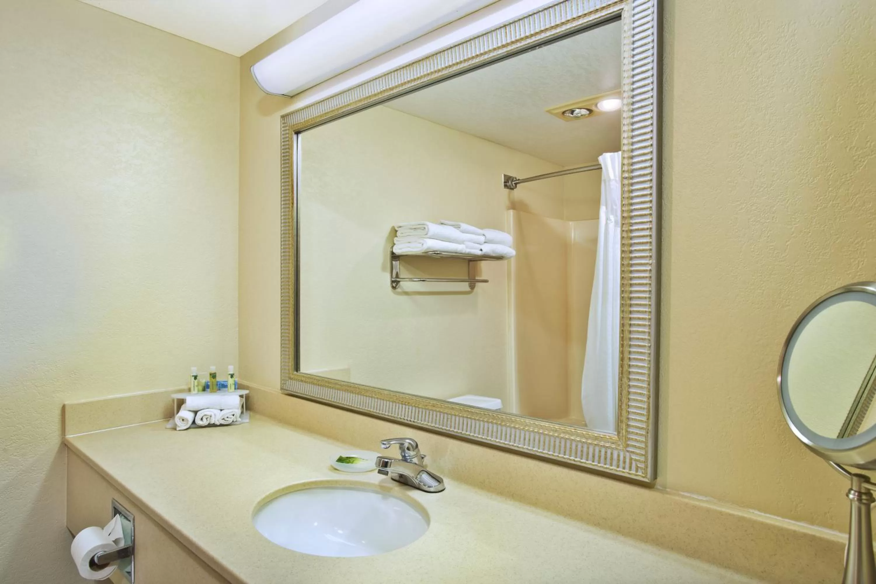 Bathroom in Holiday Inn Express Mackinaw City by IHG