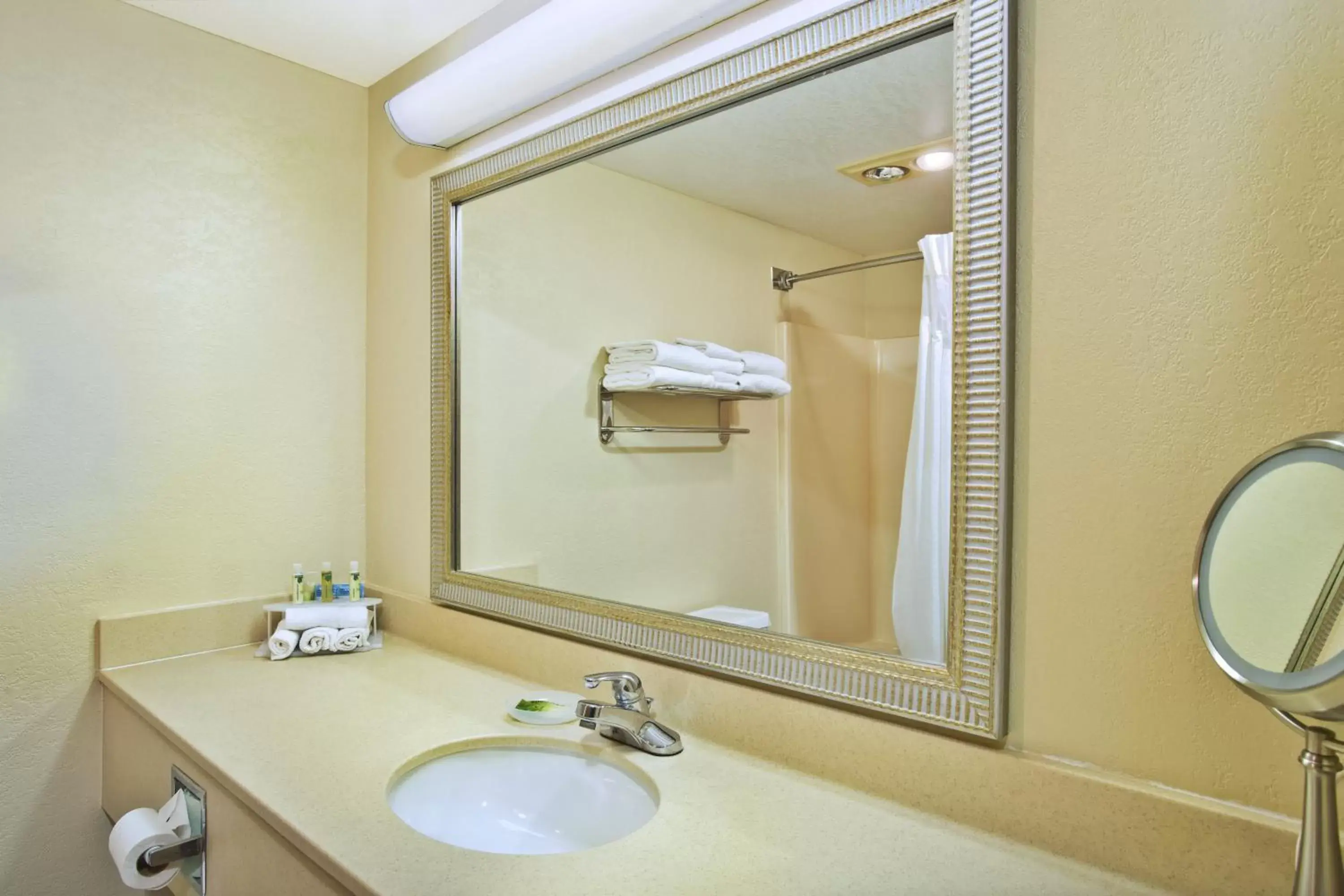 Bathroom in Holiday Inn Express Mackinaw City, an IHG Hotel