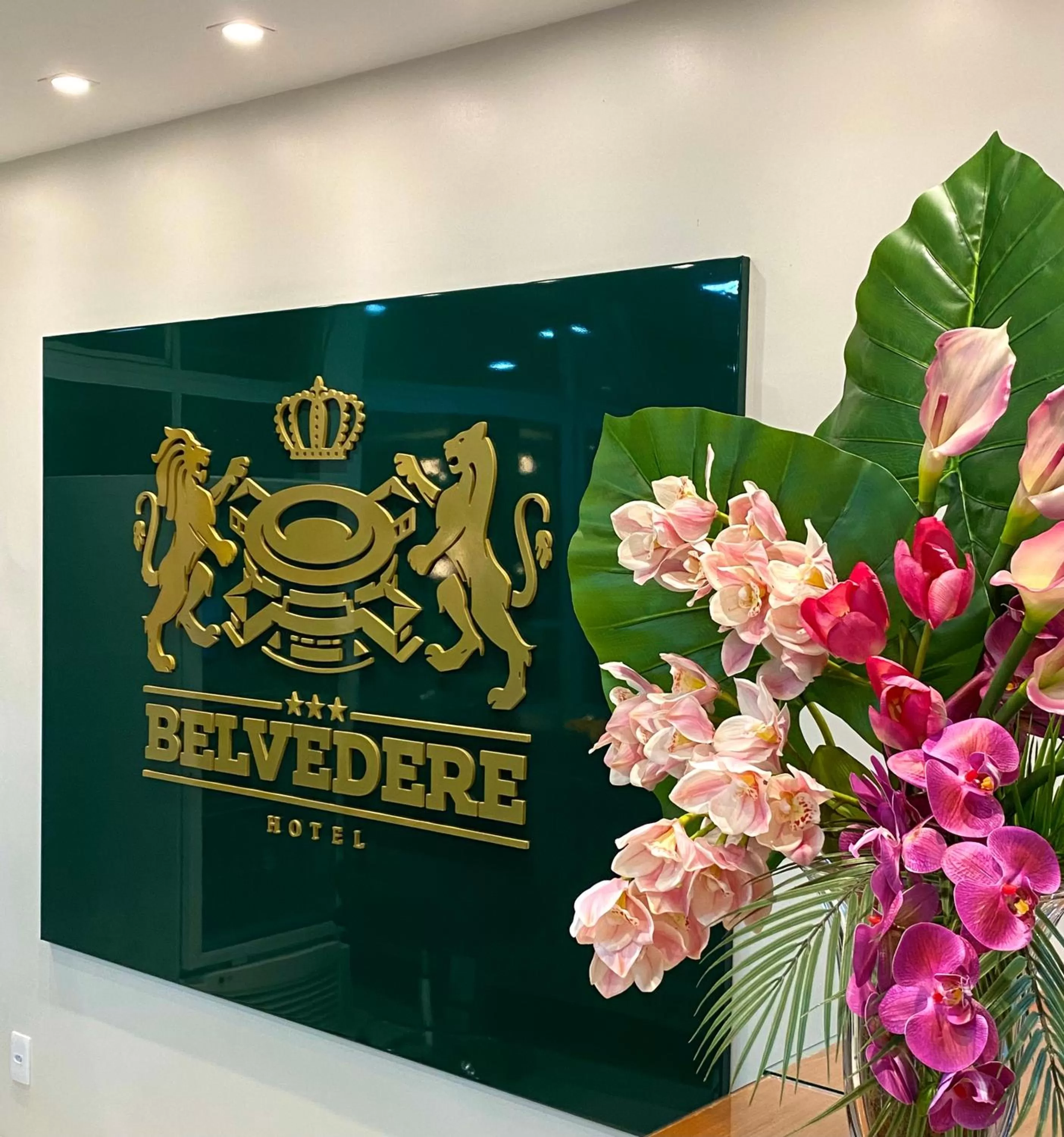 BELVEDERE PAULO AFONSO