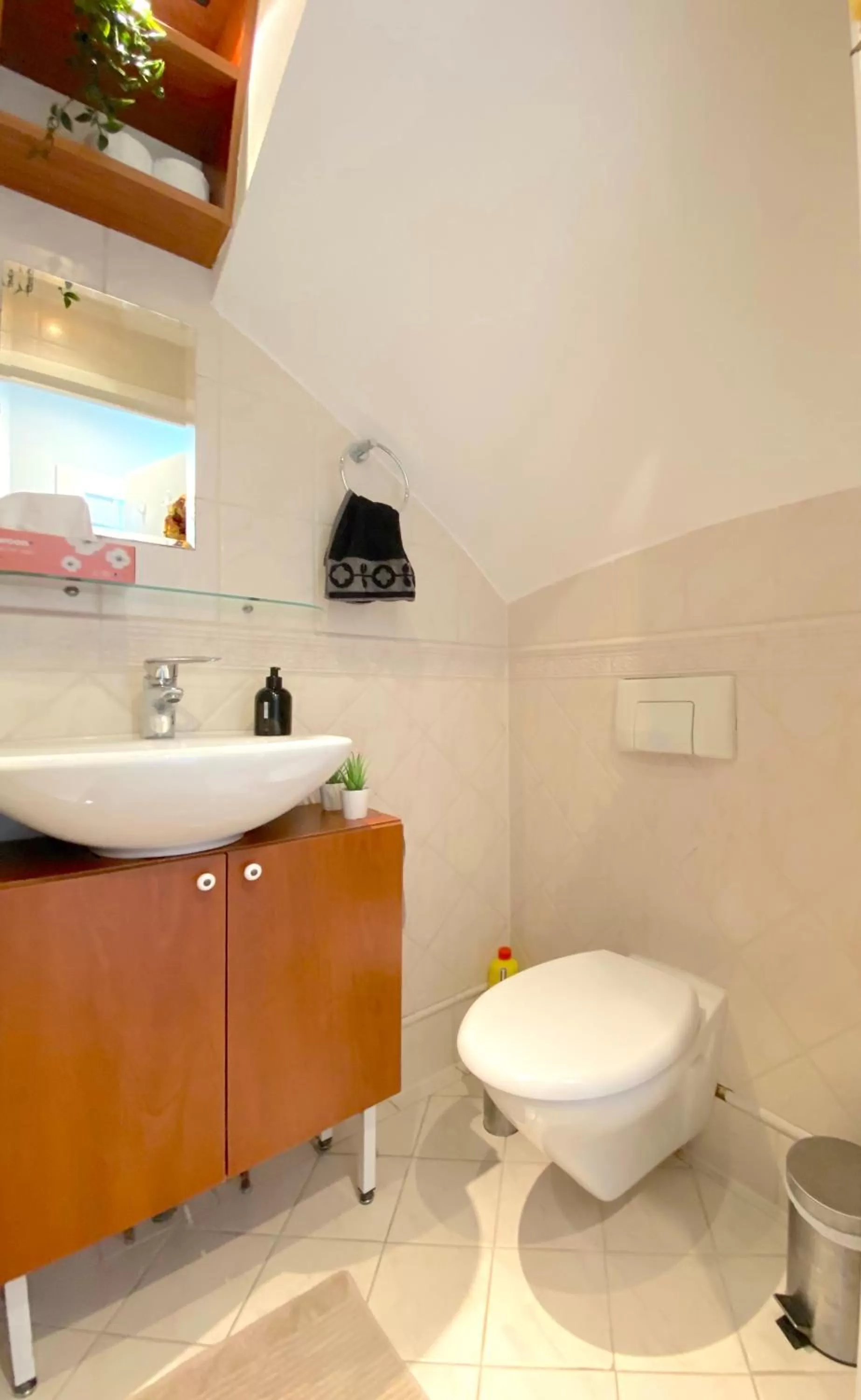 Toilet, Bathroom in Who's Anton for you or two, Monnickendam near Amsterdam