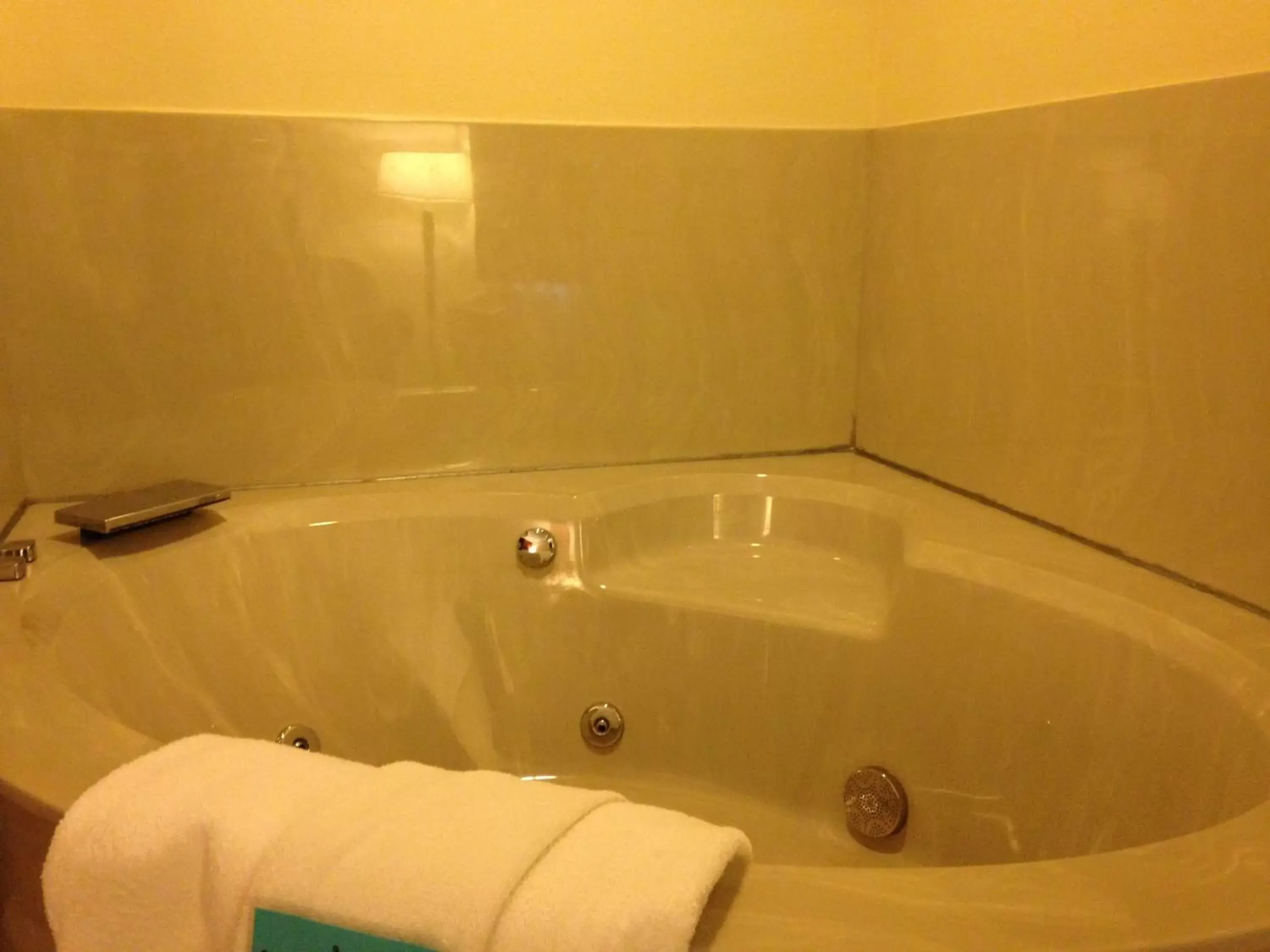 Hot Tub, Bathroom in AmericInn by Wyndham Park Rapids