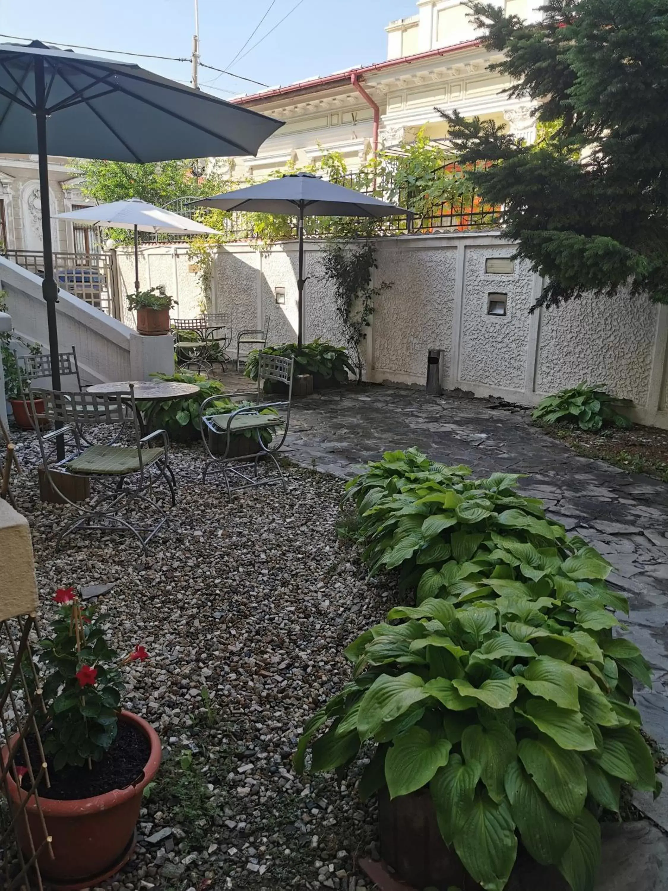 Garden in Prince Residence Apartments