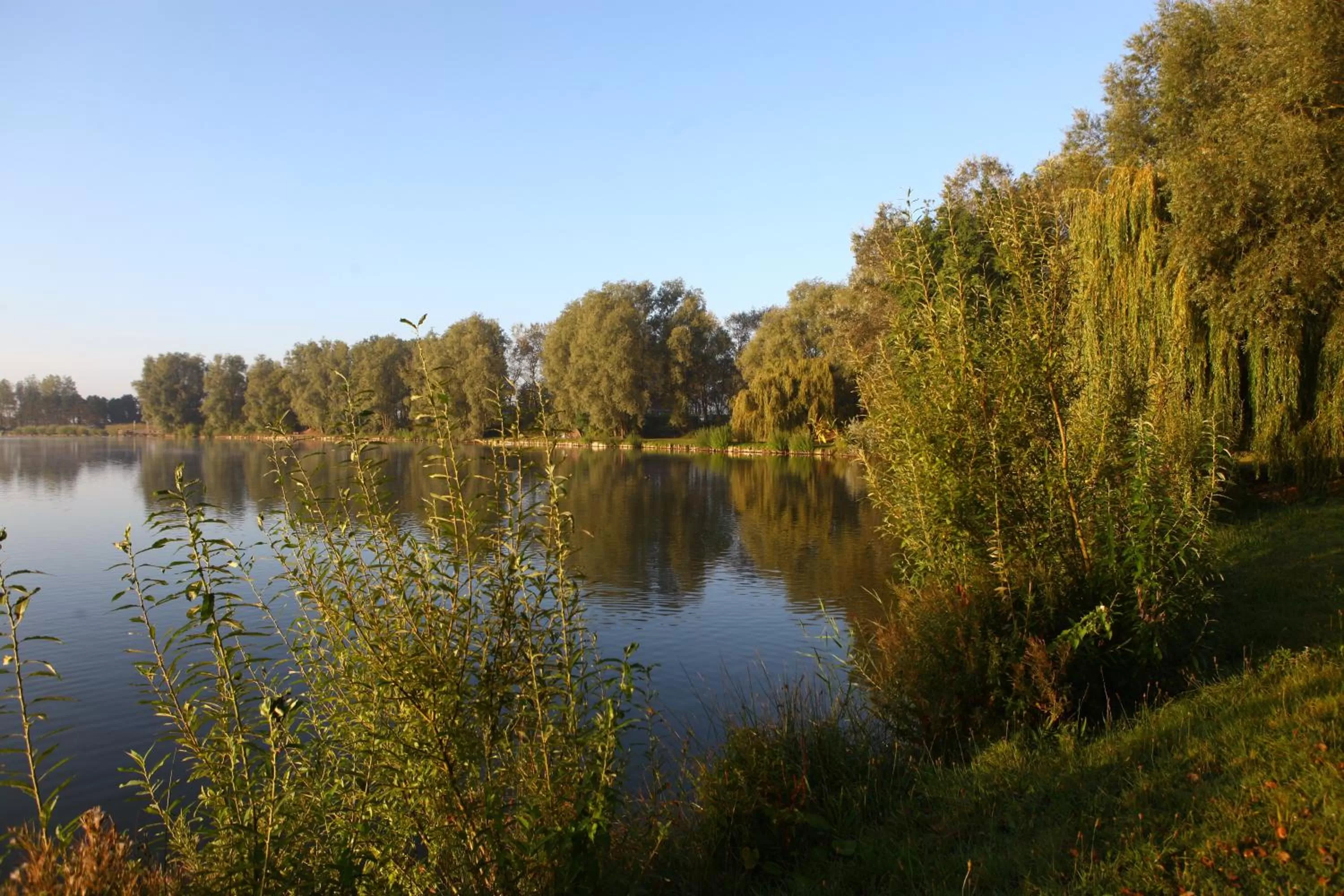 Hiking in Best Western Hotel du Lac Dunkerque- Restaurant ouvert 7/7 midi et soir