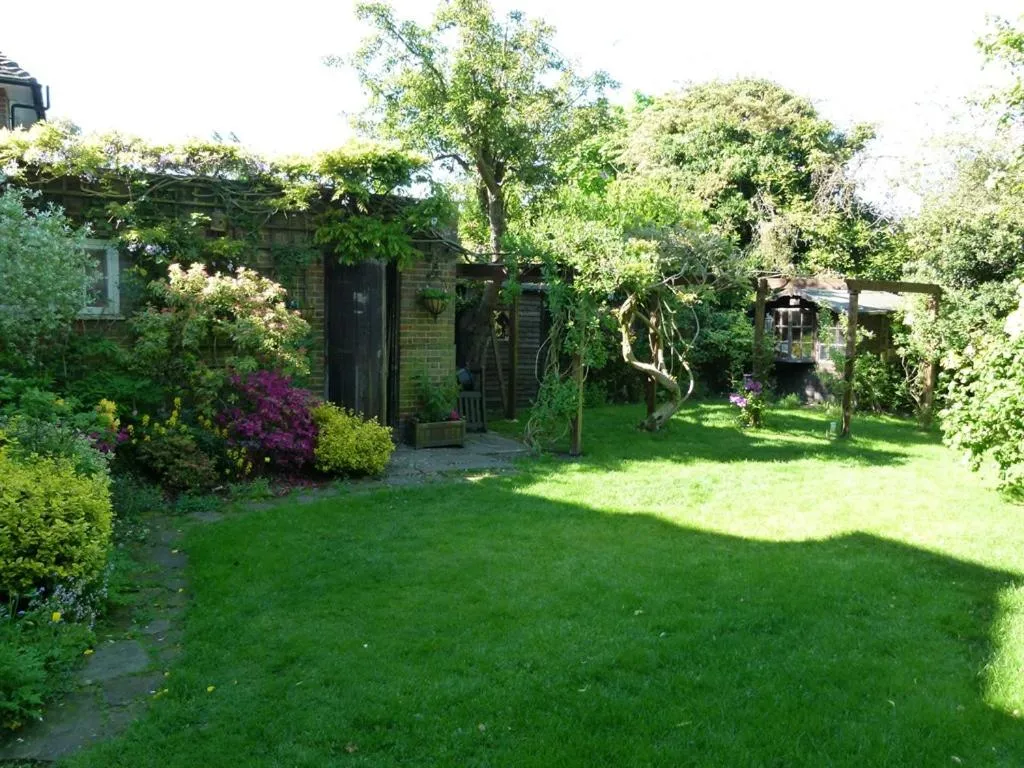 Activities in Iolanthe