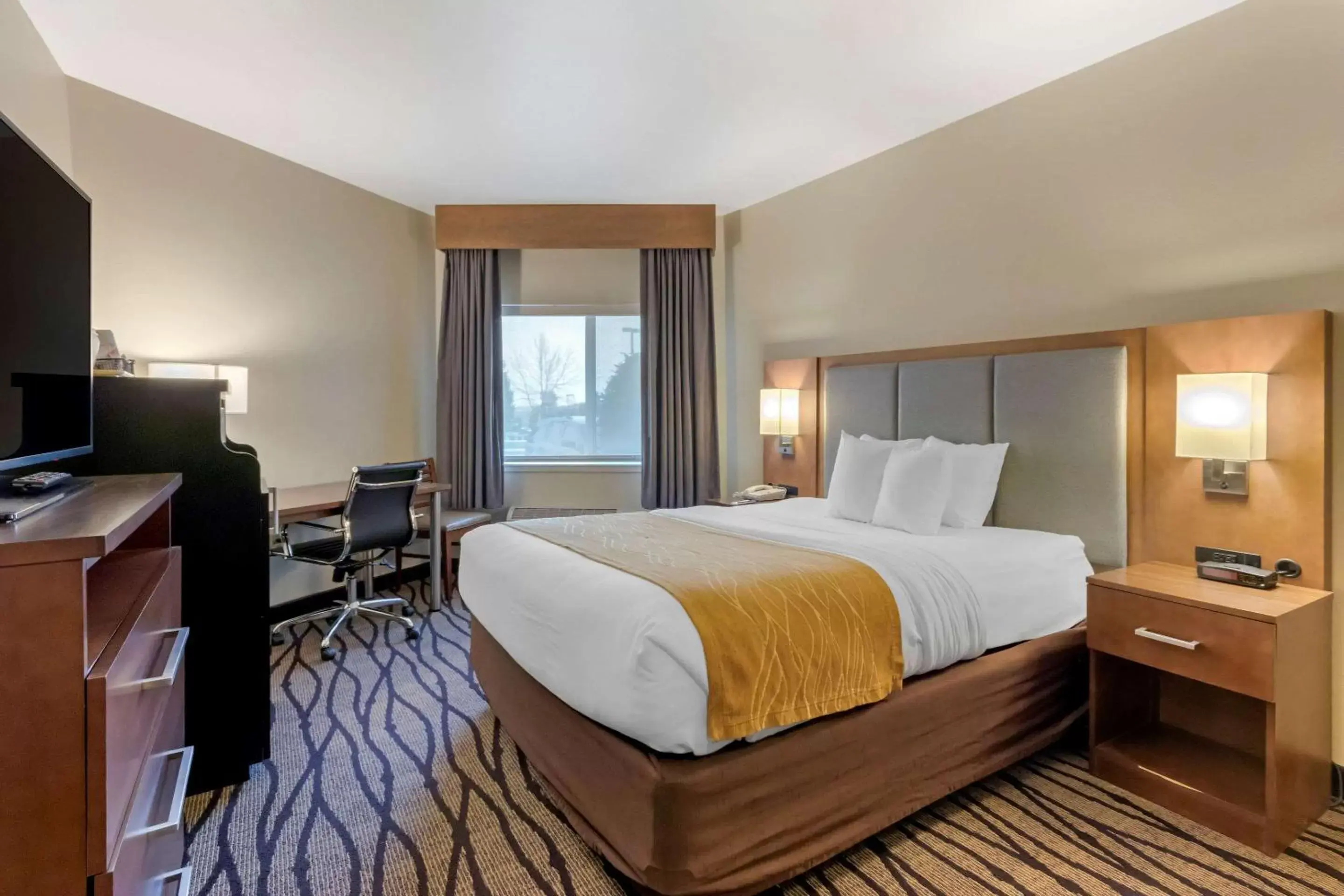 Photo of the whole room, Bed in Comfort Inn & Suites Market - Airport