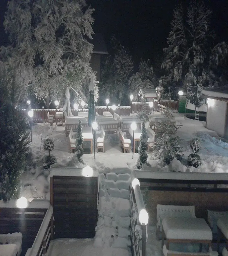 Garden, Winter in Vitoshko Lale Hotel