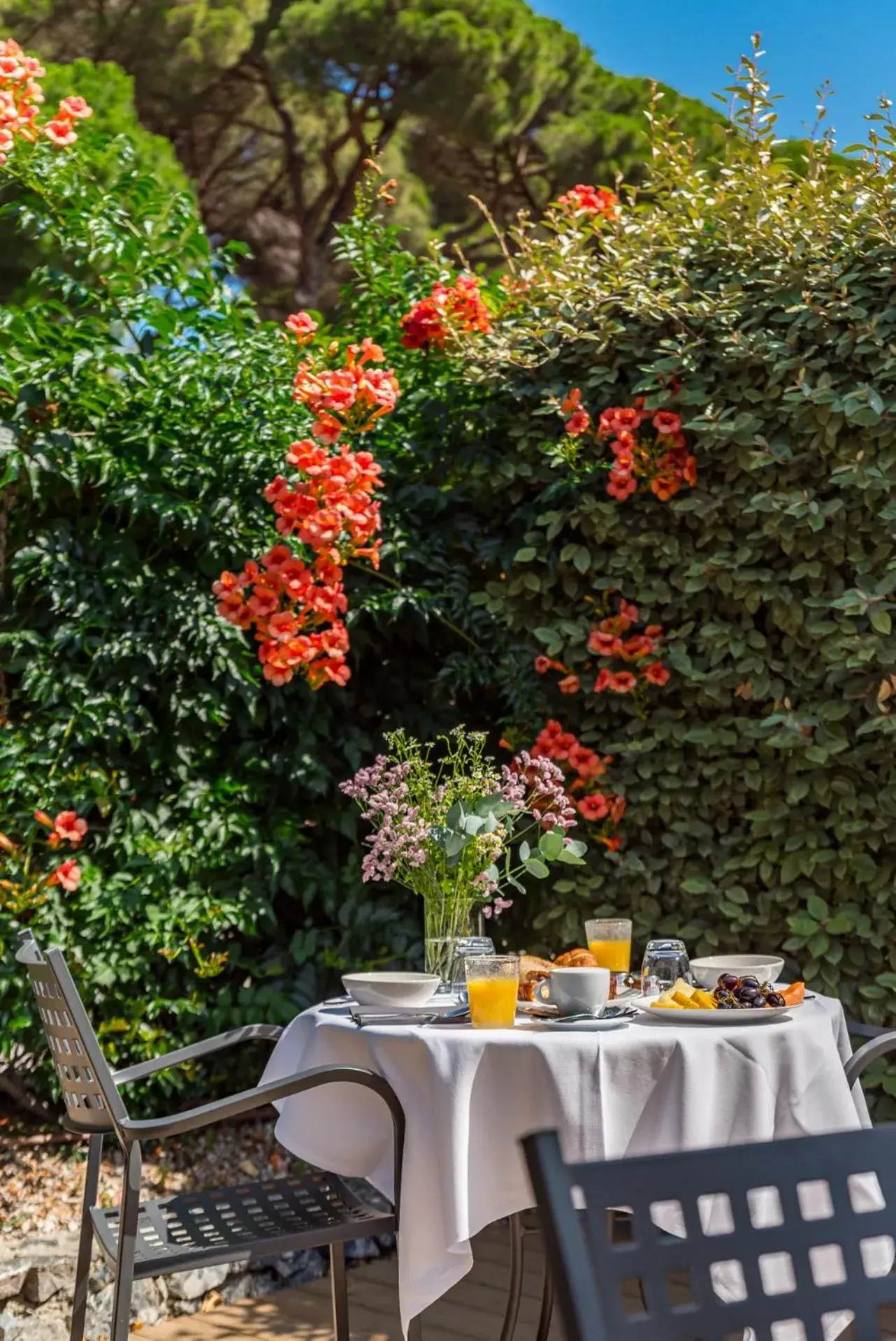 Restaurant/places to eat in Park Hotel Argento Restaurant/places to eat in Park Hotel Argento