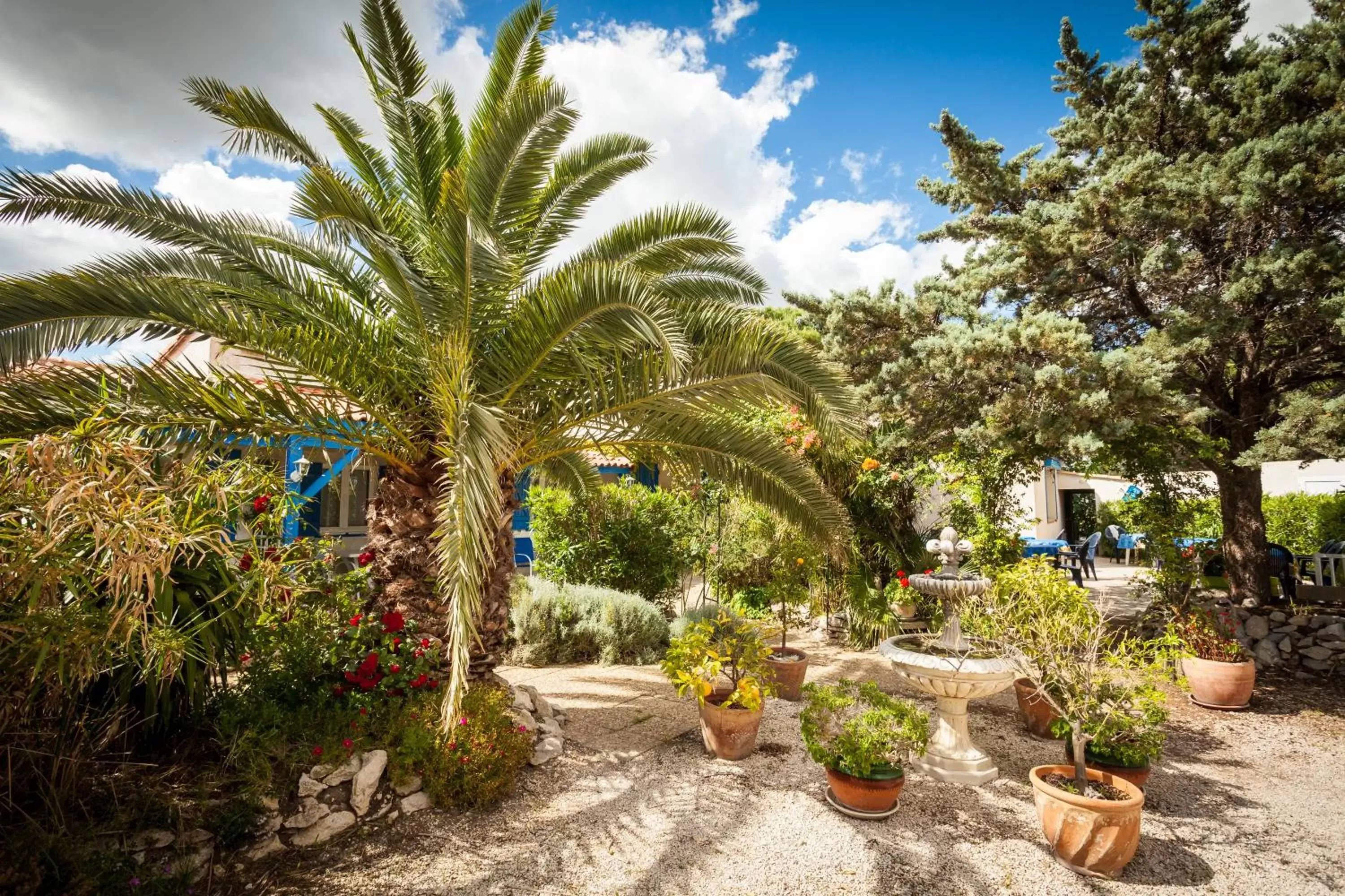 Garden in Hotel Des 4 Vents