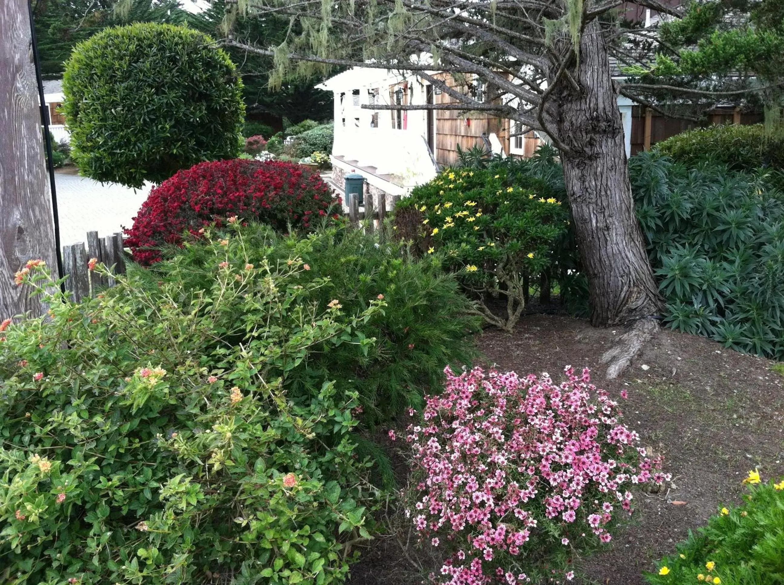 Garden in Lighthouse Lodge & Cottages