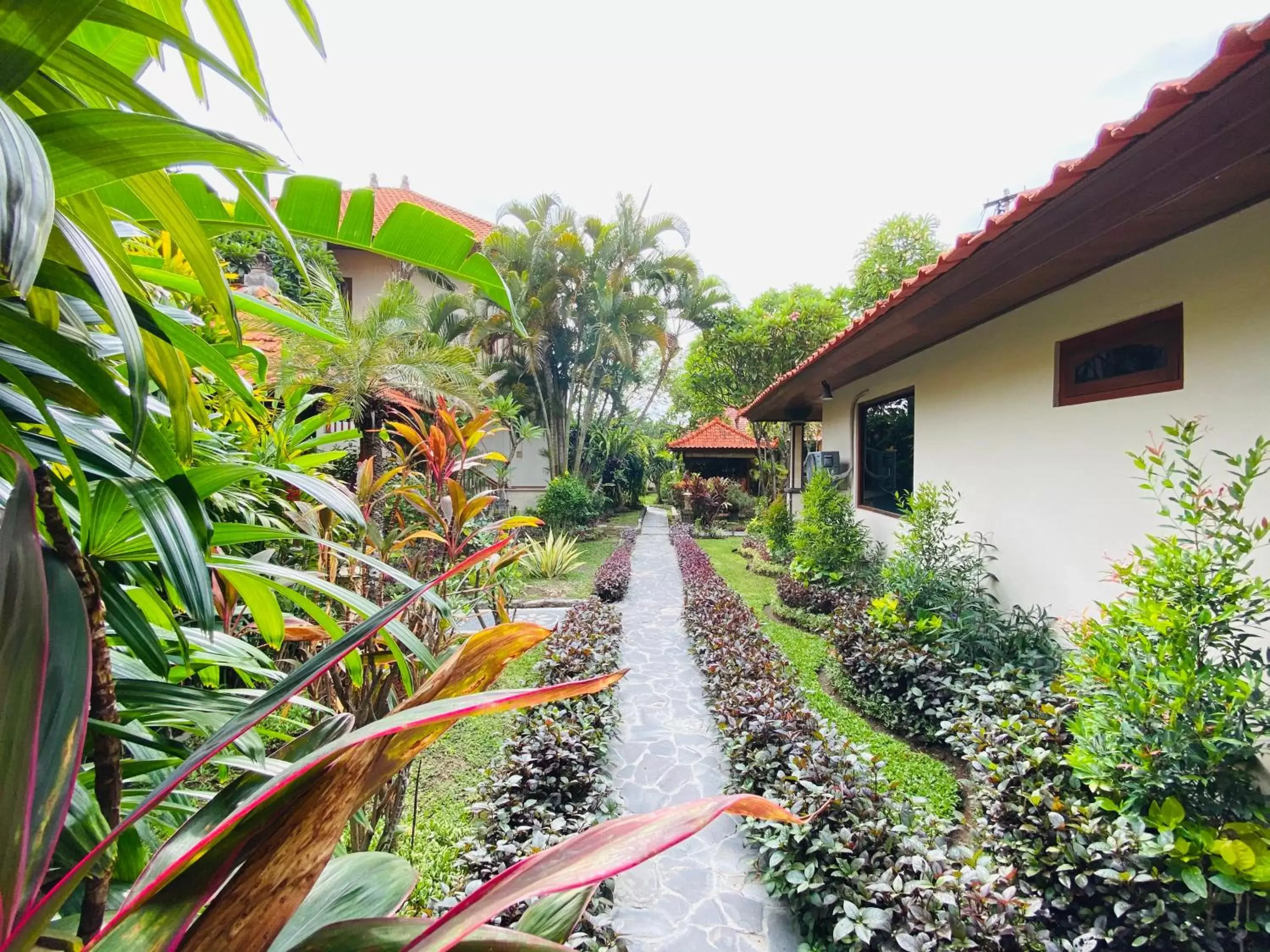 Garden in Kusnadi Hotel