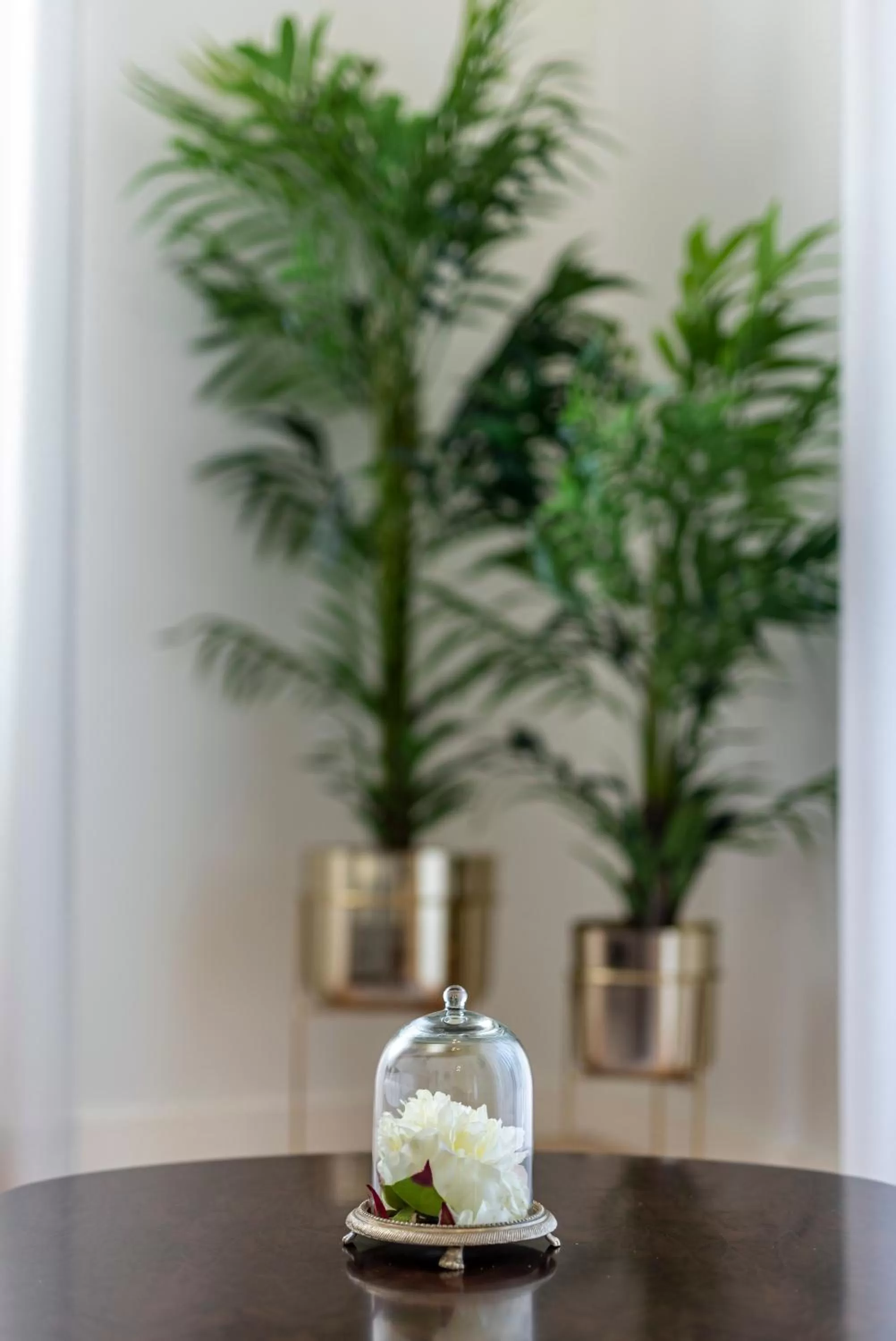 Decorative detail in Templo Boutique Hotel