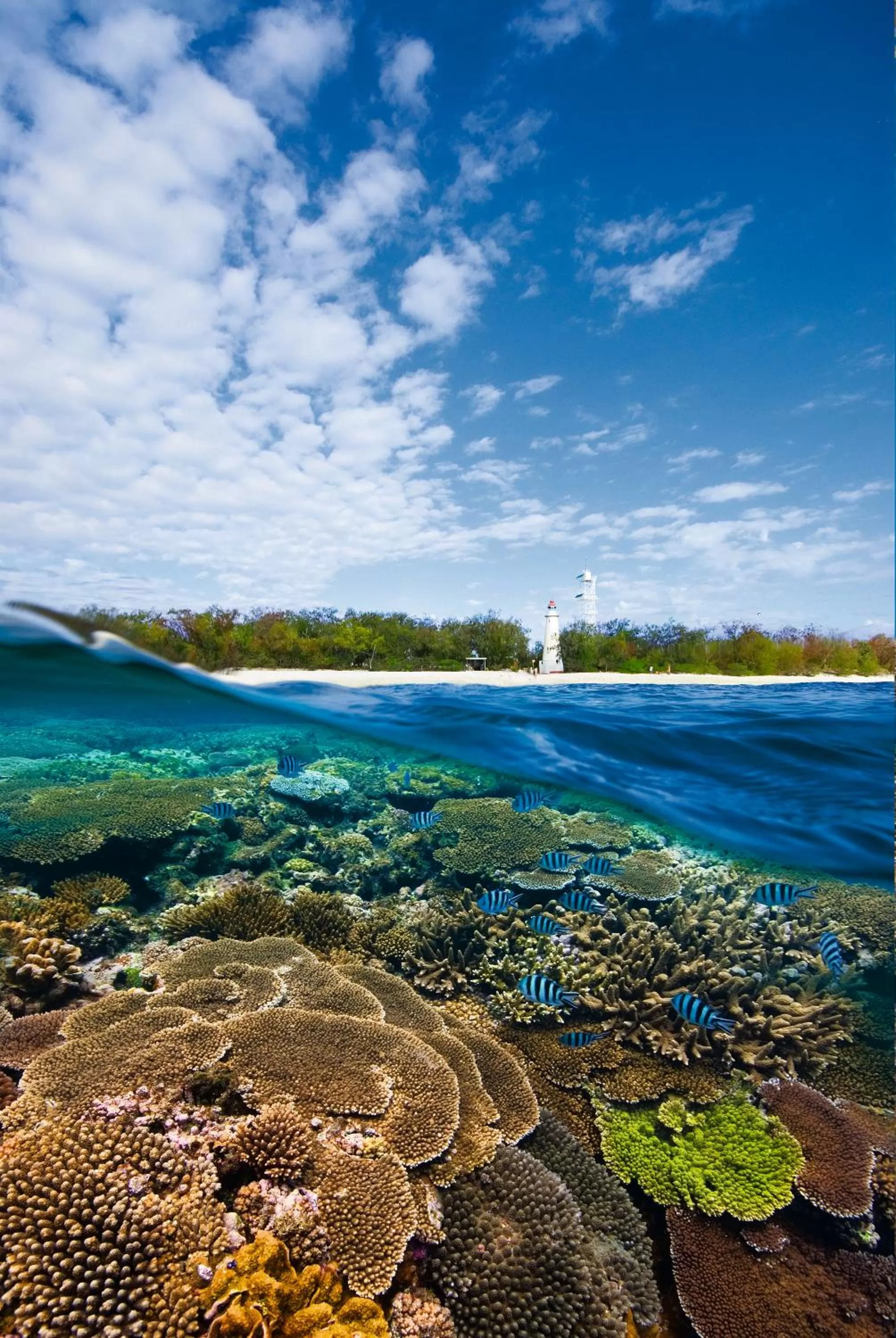 Natural landscape in Bargara Blue Resort