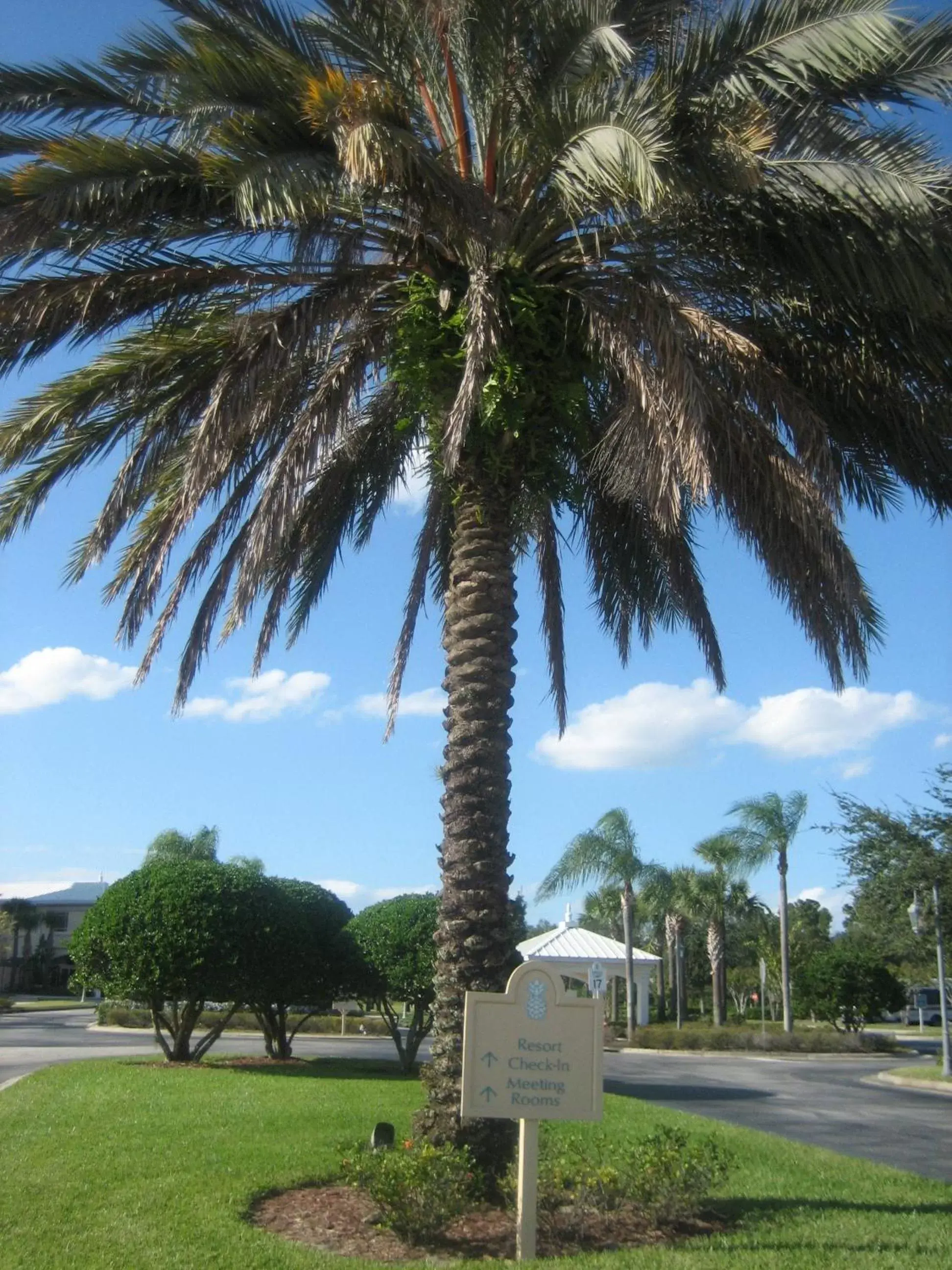 Area and facilities, Garden in Monumental Hotel Orlando