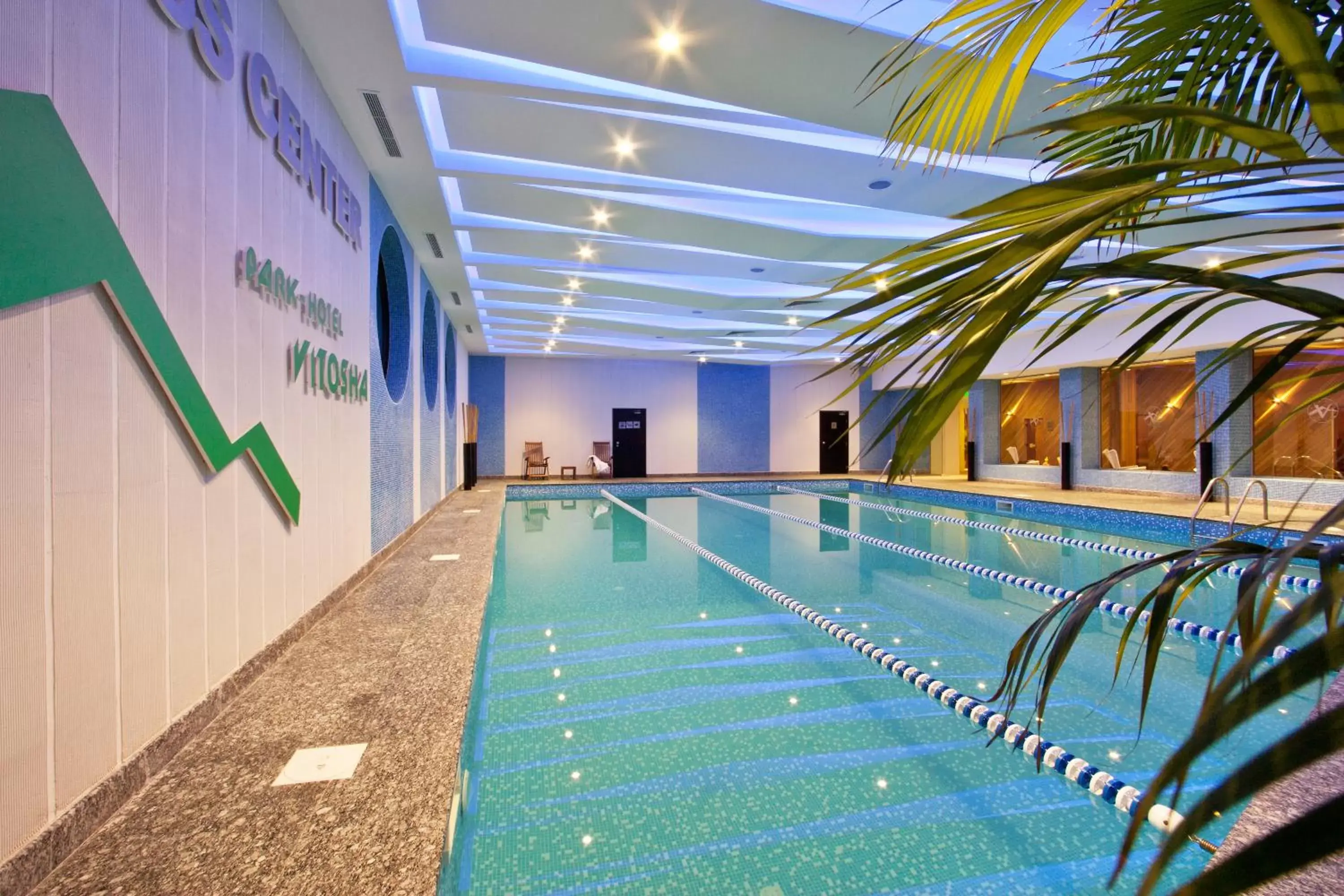 Swimming Pool in Vitosha Park Hotel