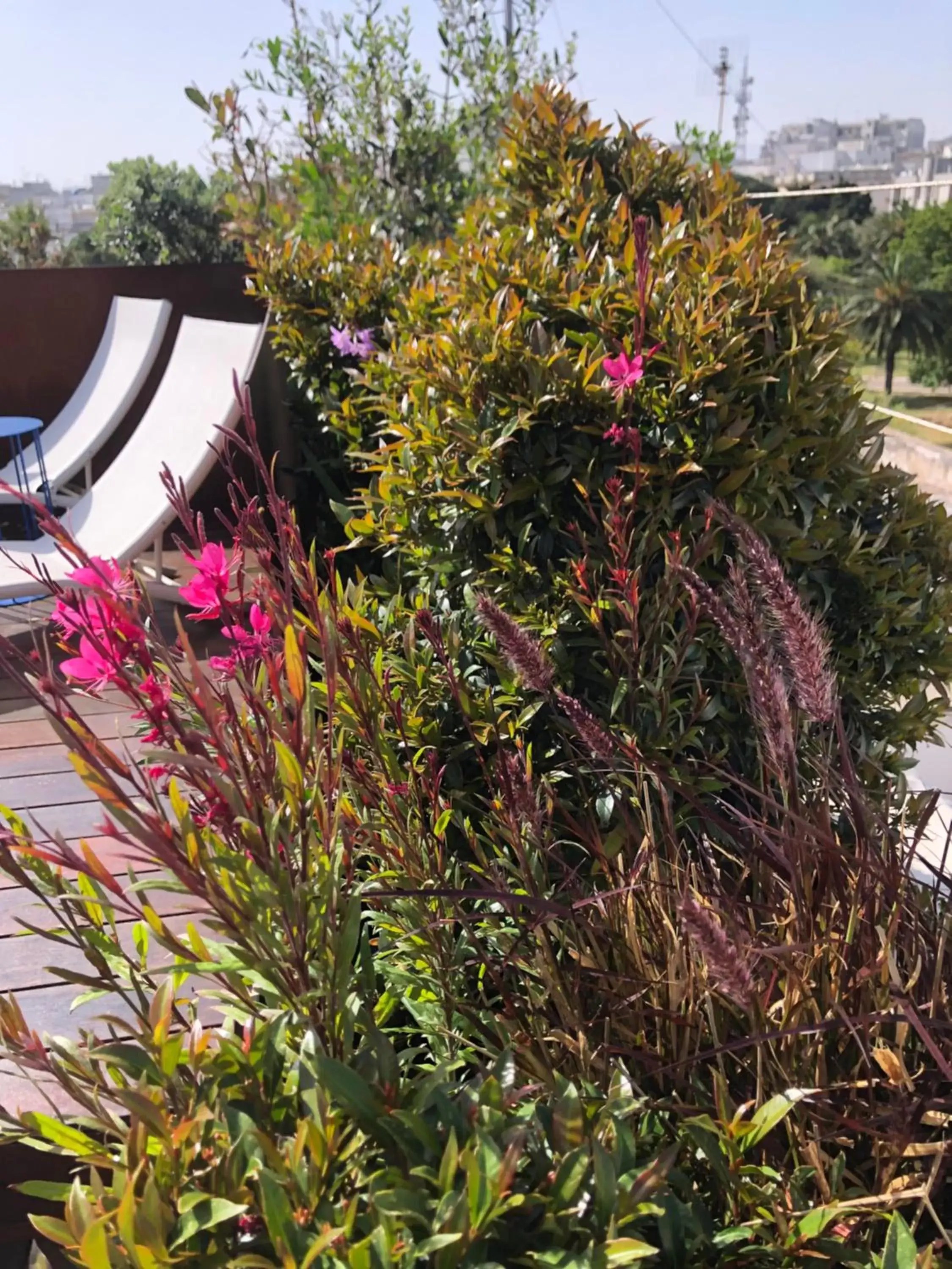 Garden in Biancofiore Apartments