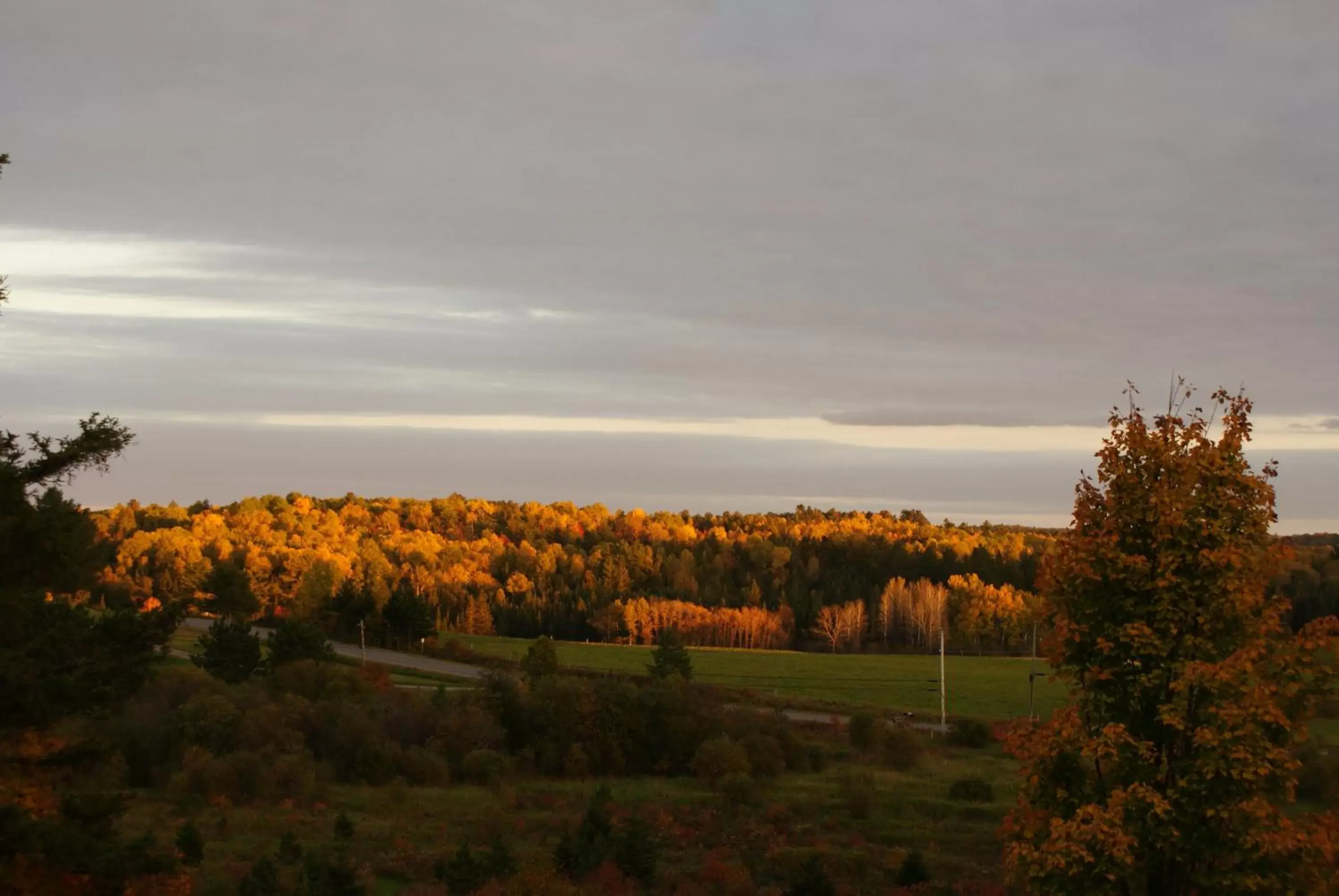 Top of Algonquin Bed and Breakfast