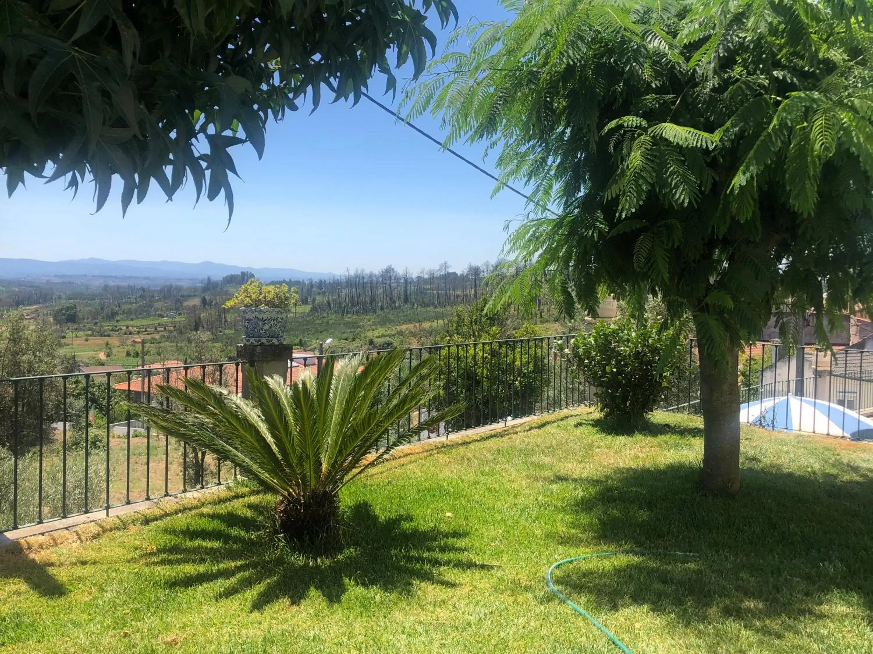 Garden in SOLAR DA SERRA-GuestHouse