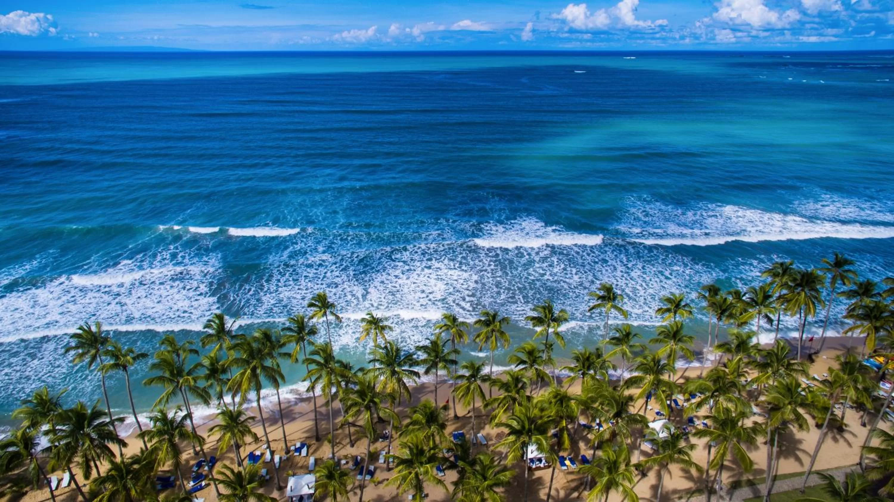 Beach in Viva V Samana by Wyndham, A Trademark Adults All Inclusive