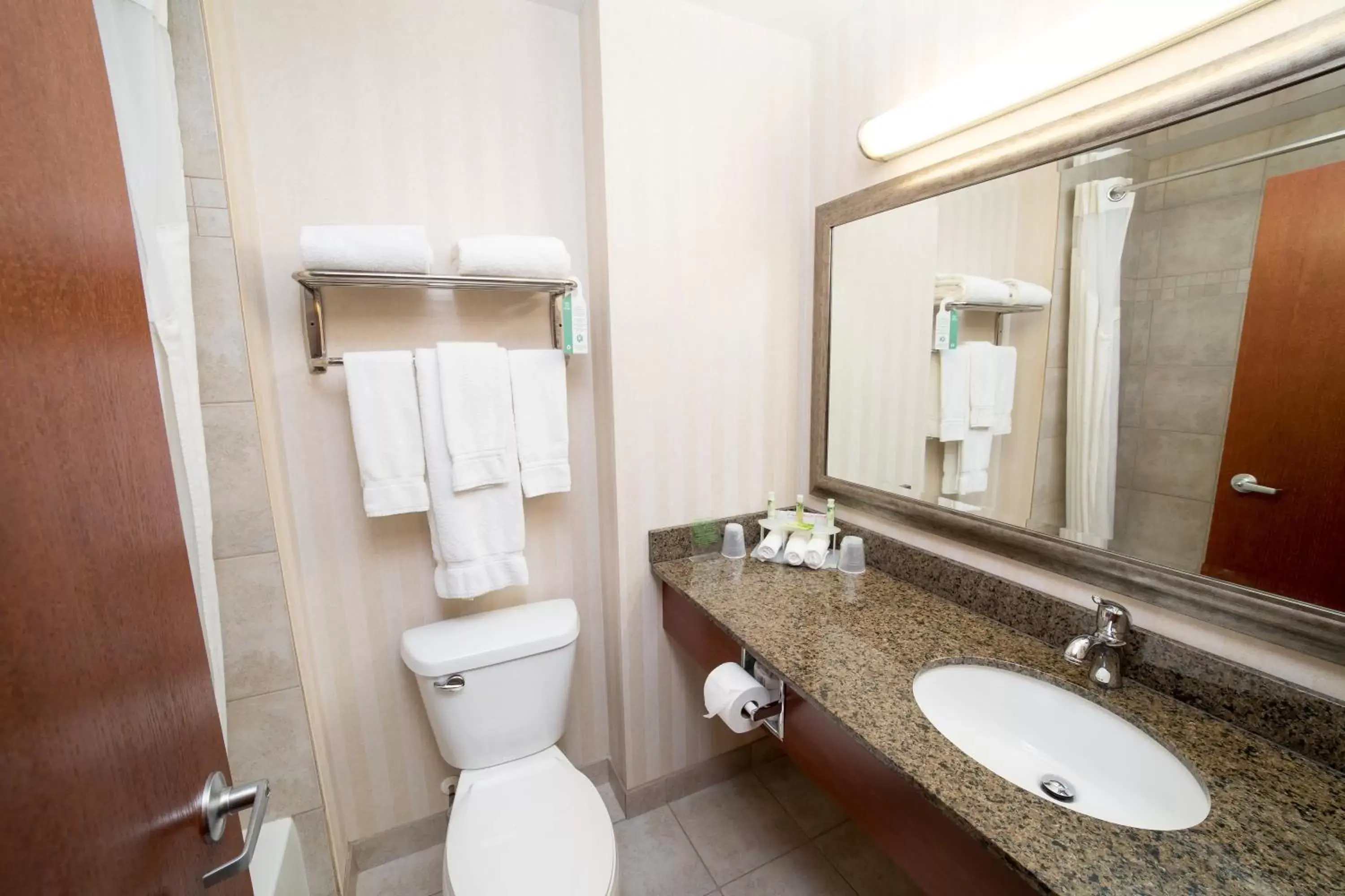 Bathroom in Holiday Inn Express & Suites Drayton Valley, an IHG Hotel