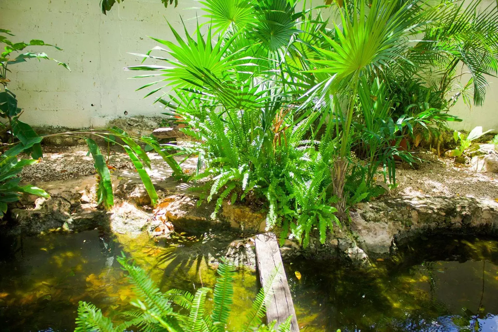 Patio, Garden in Casa De Los Pájaros - B&B