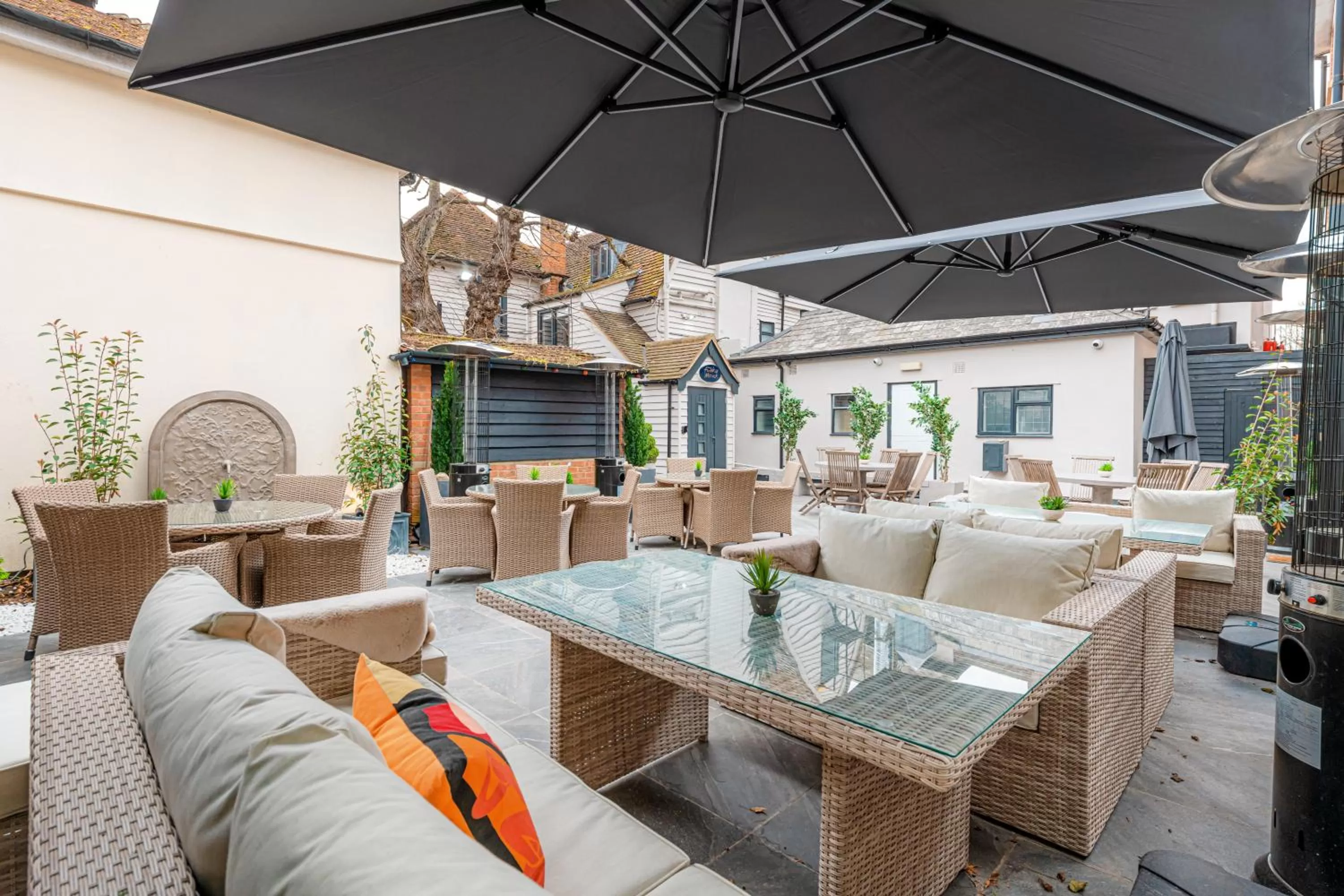 Garden in Funky Monk Hotel