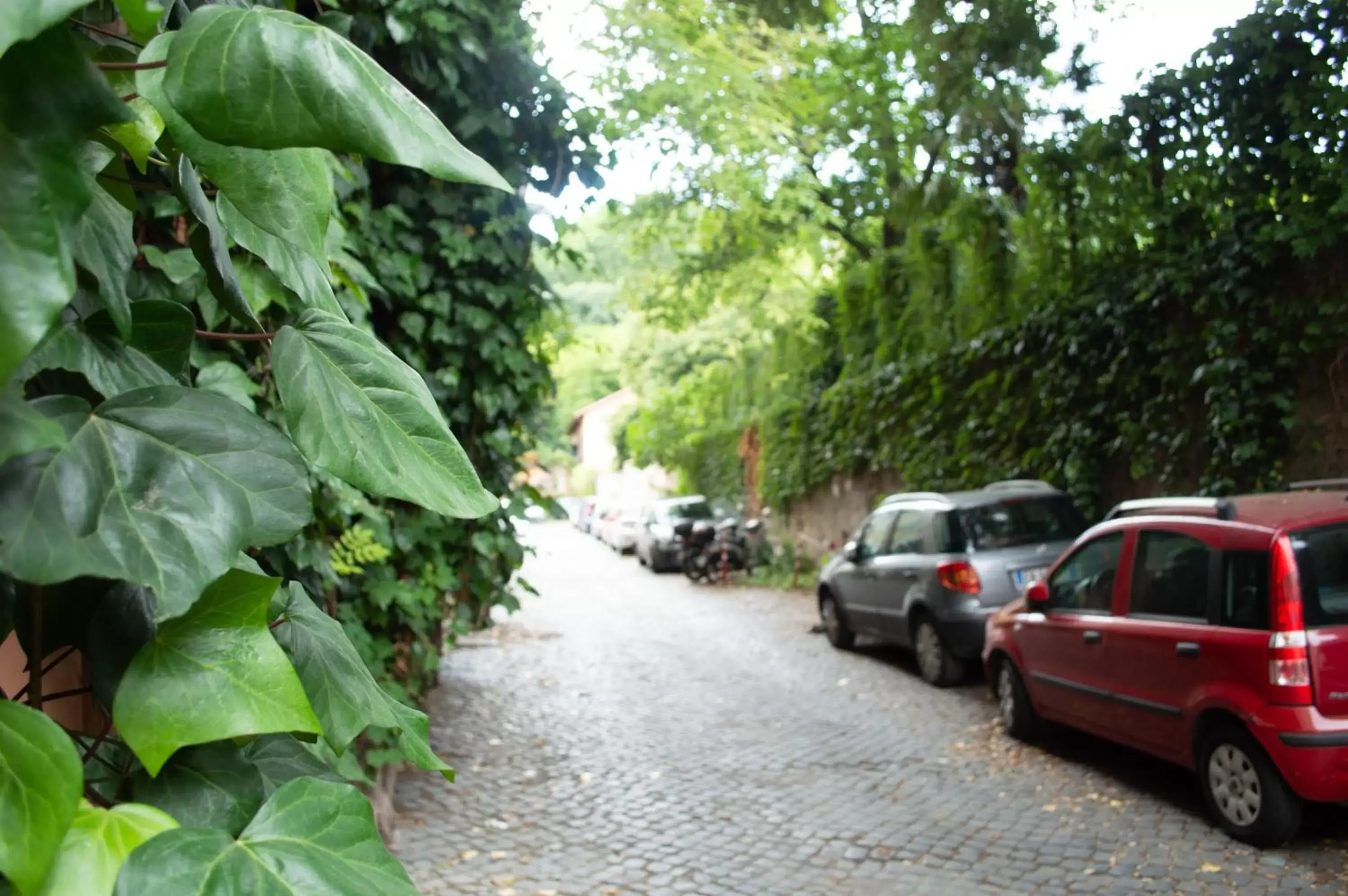 Street view in Villa Riari Garden