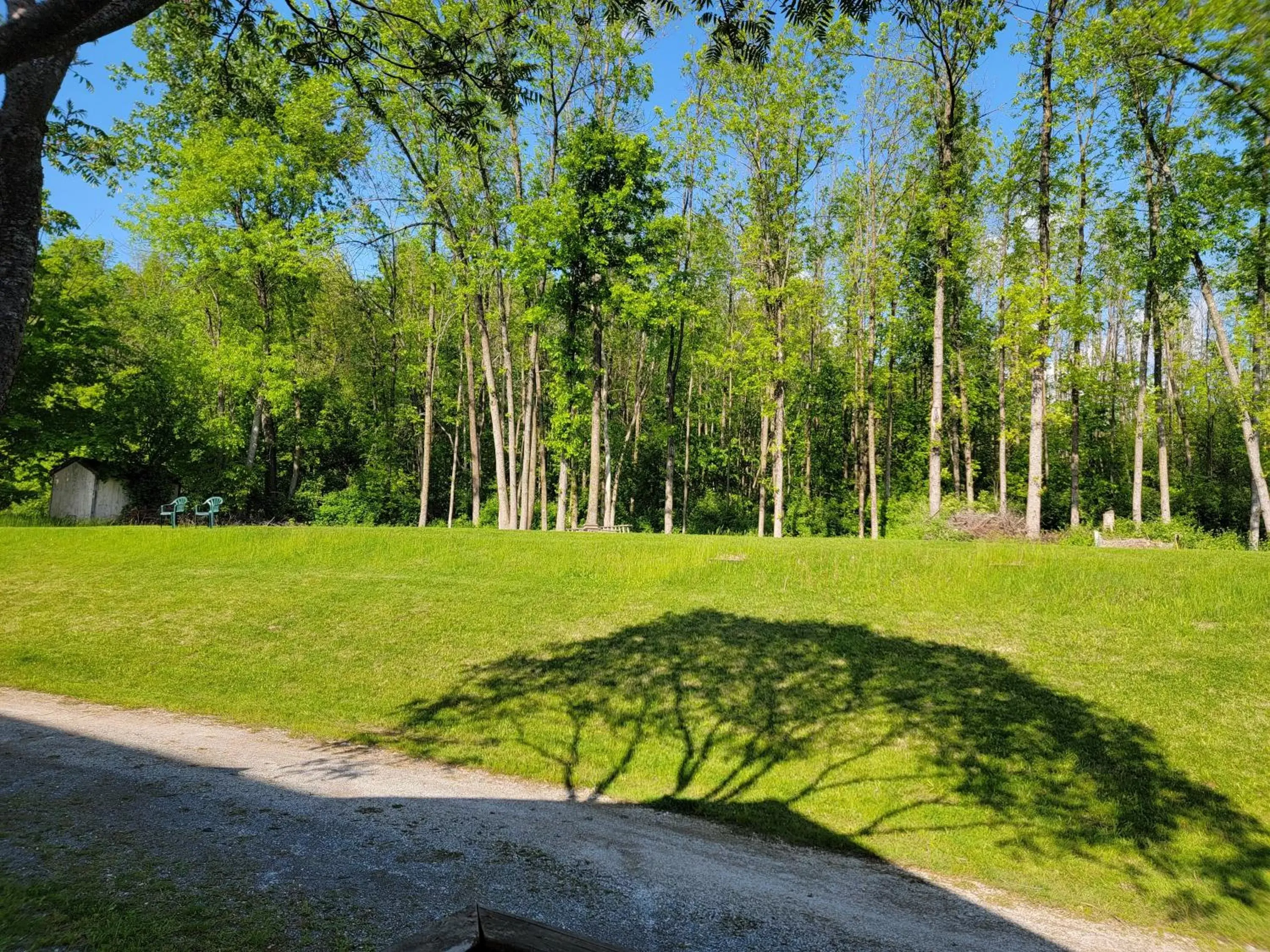 Garden in South Side Inn - Burlington