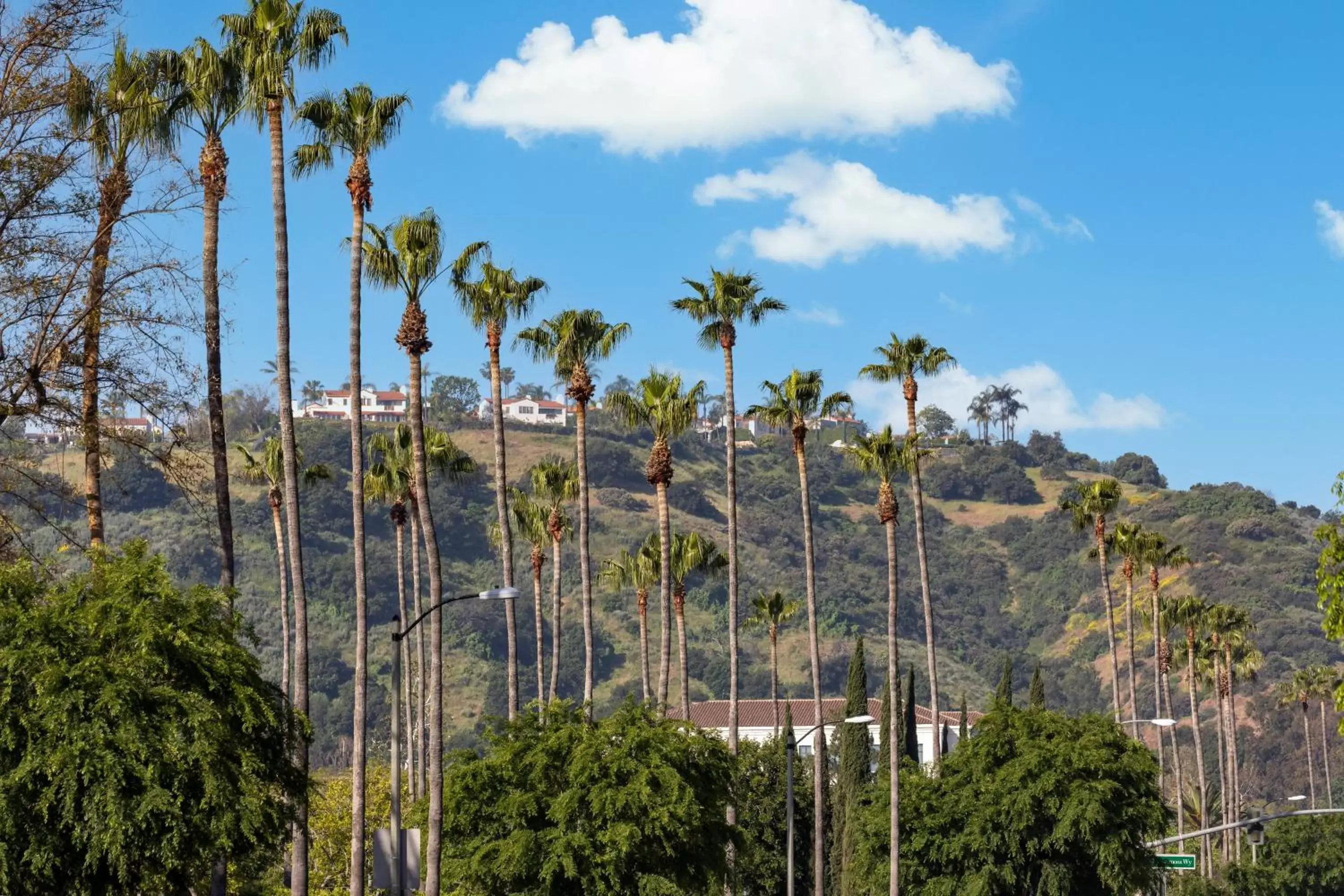 Nearby landmark, Natural Landscape in The Anza-a Calabasas Hotel