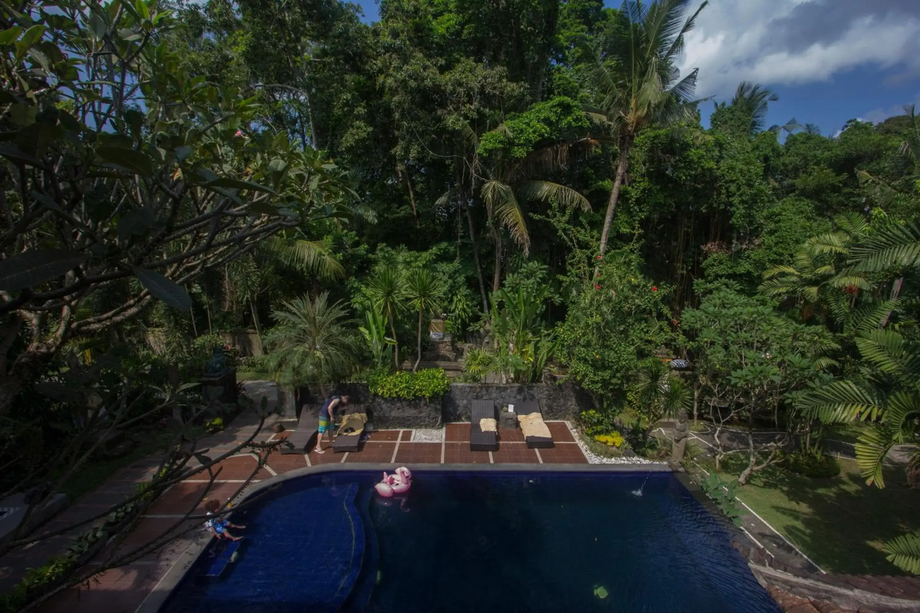 Natural landscape, Pool View in Dewangga Ubud