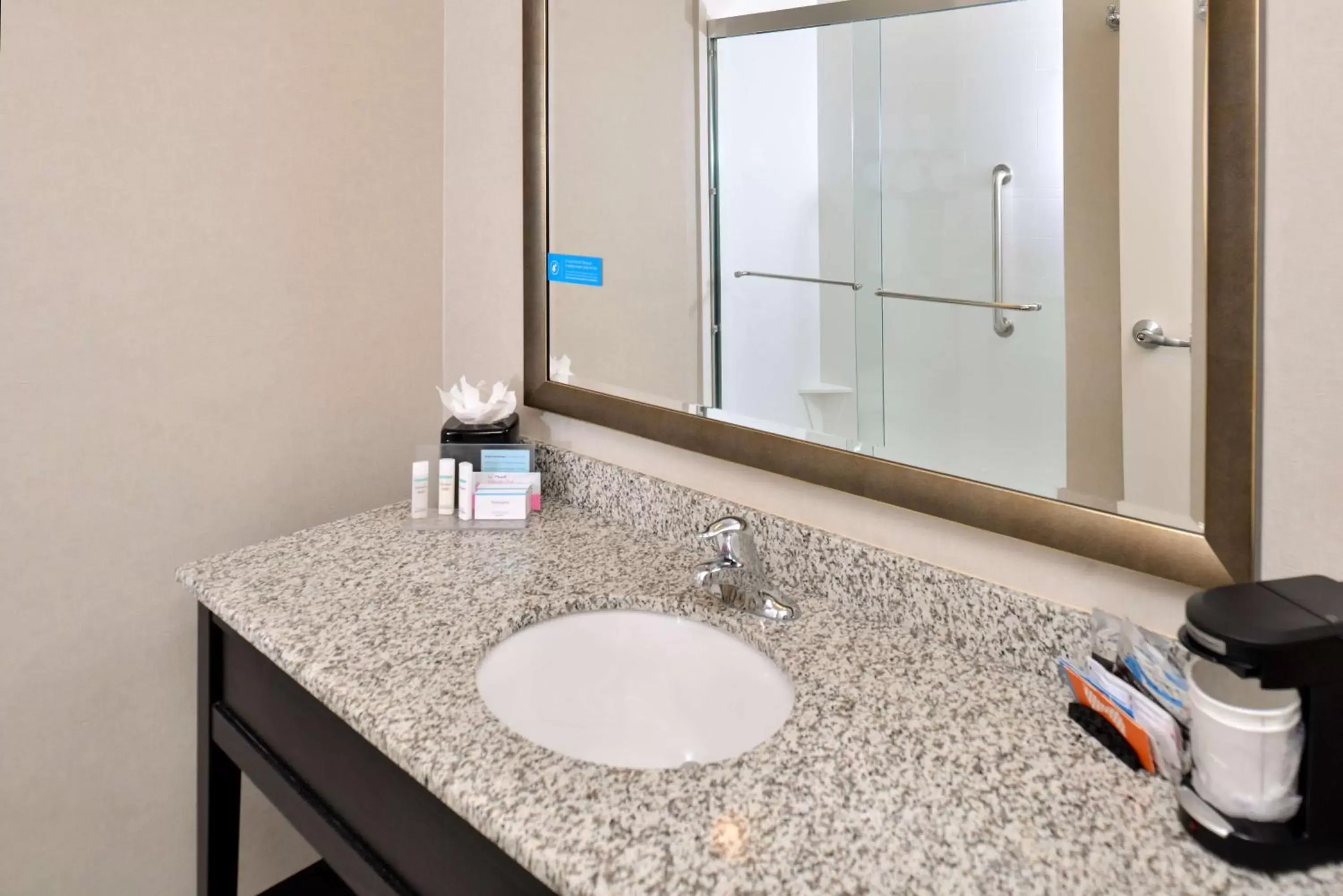 Bathroom in Hampton Inn & Suites Orlando/Downtown South - Medical Center