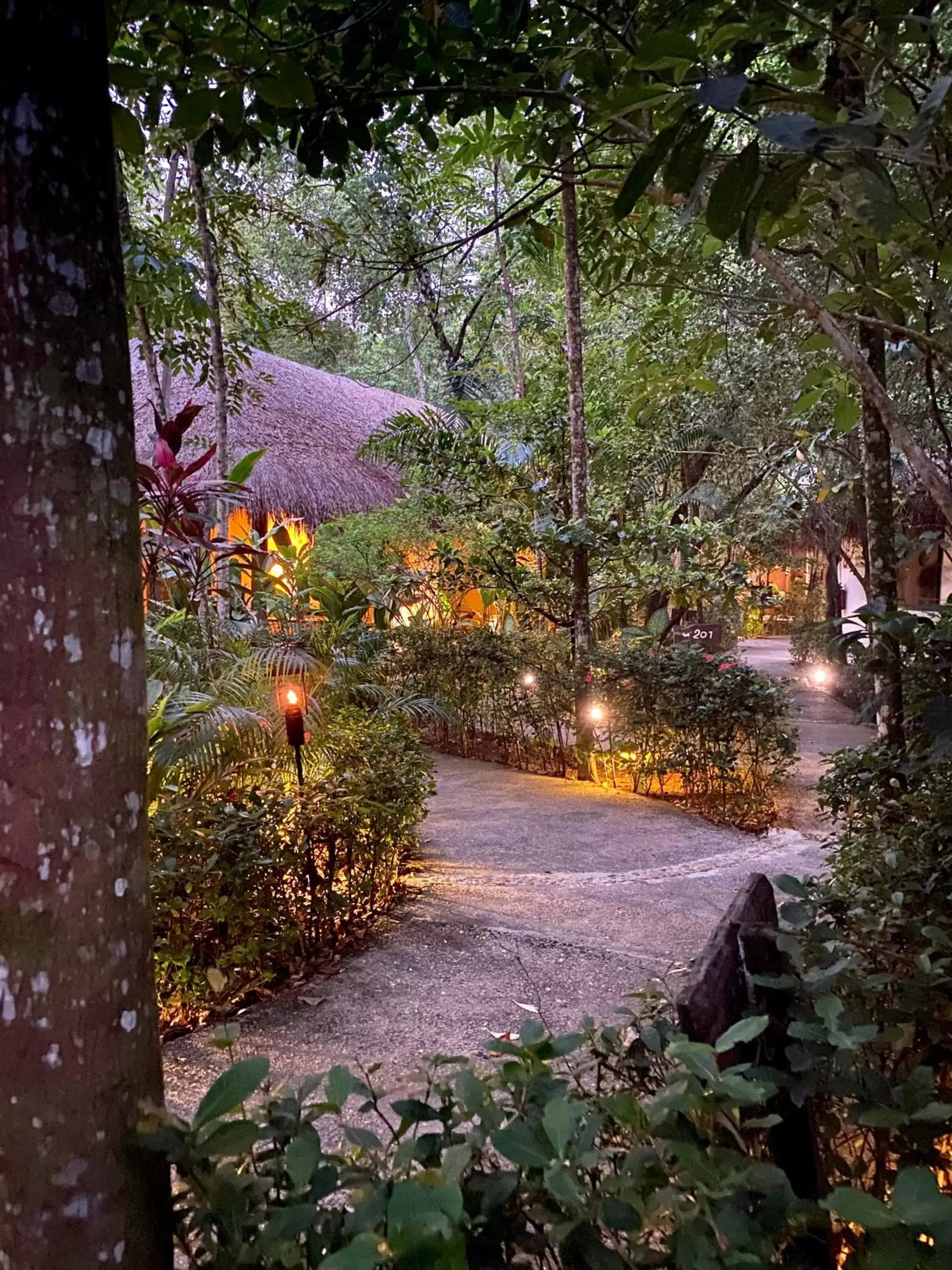 Garden in Piedra de Agua Palenque