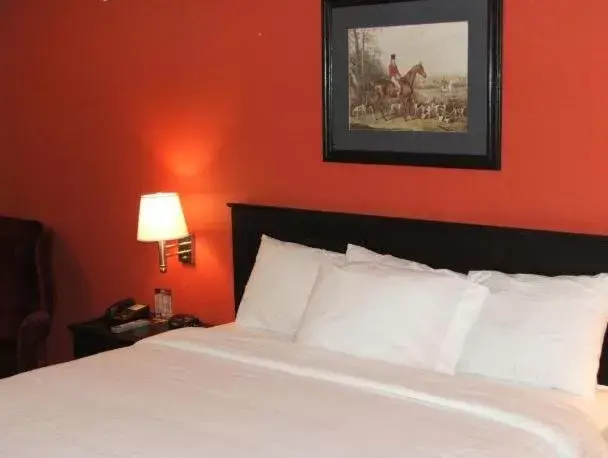 Bed in Americas Best Value Inn Waco - Franklin Avenue