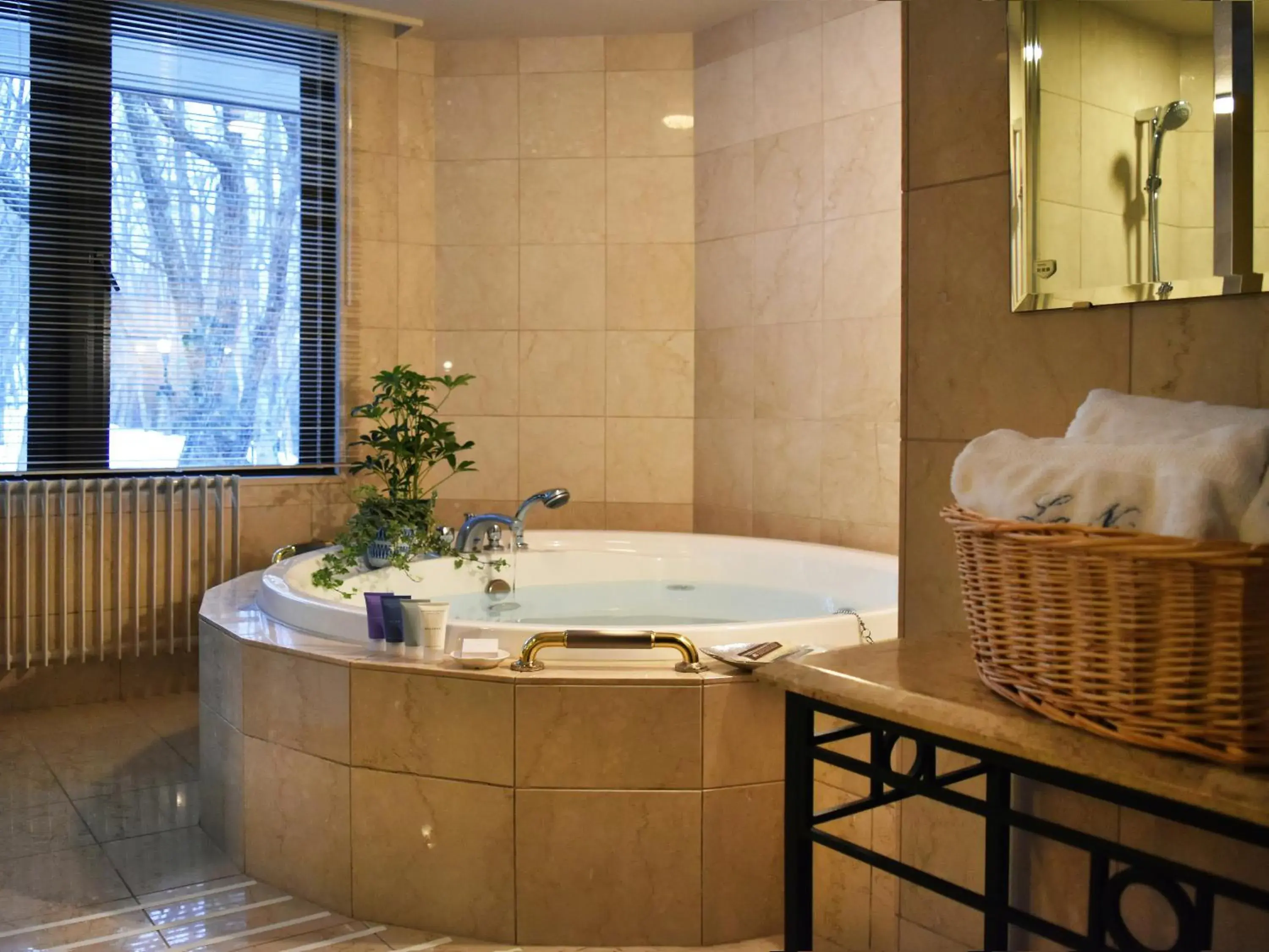 Bathroom in Hakuba Resort Hotel La Neige Higashikan