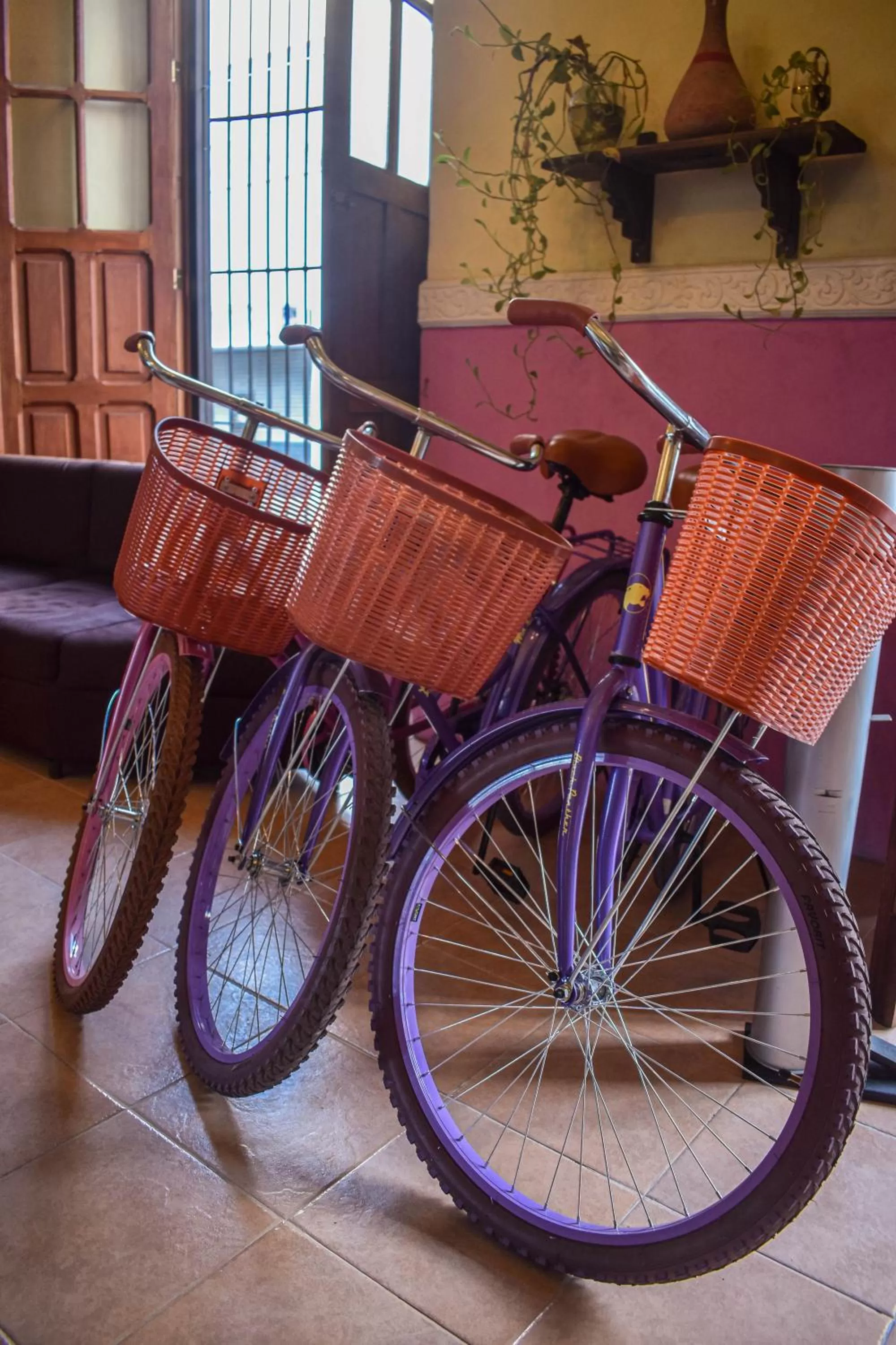 Activities in Hotel Santa Ana