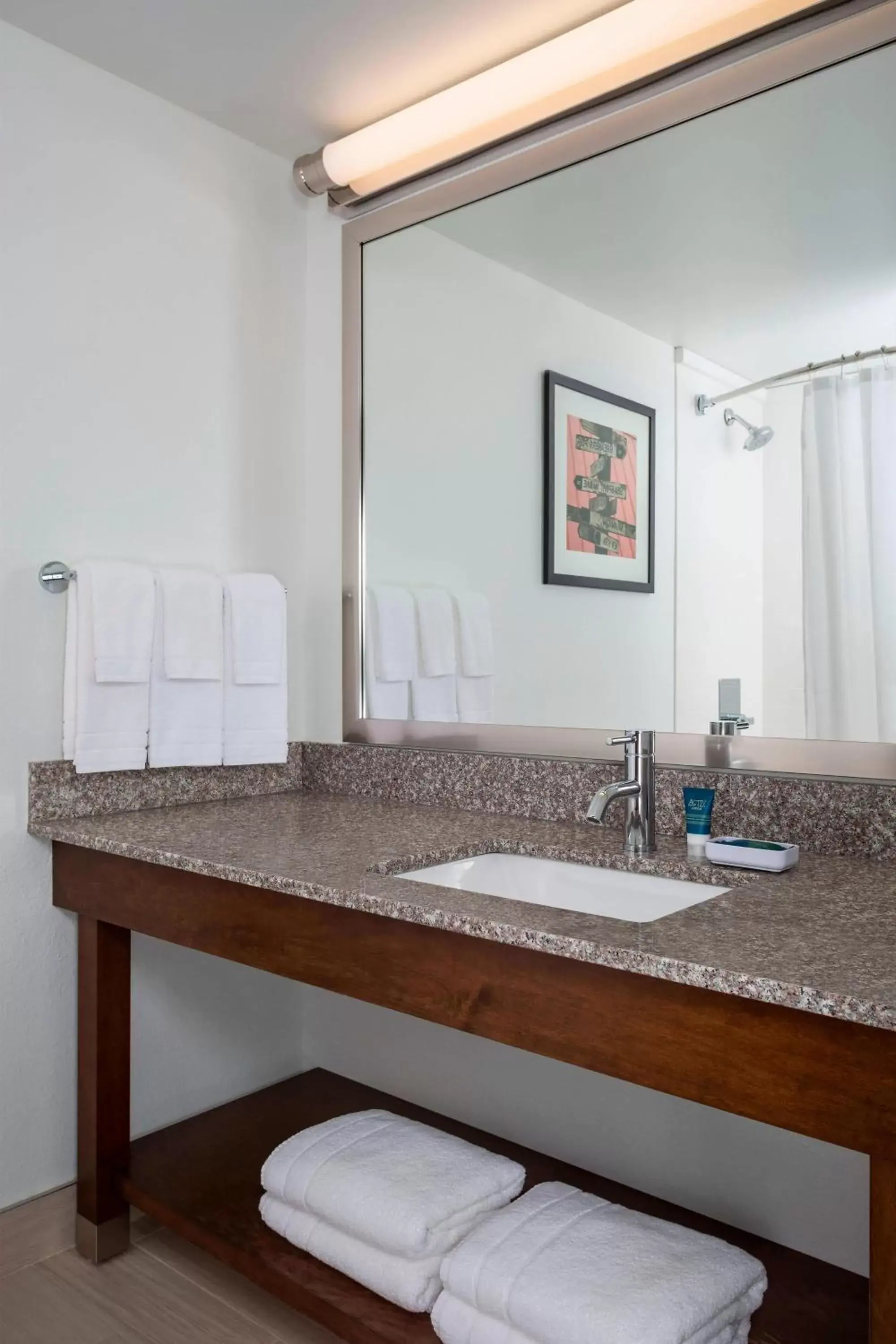 Bathroom in Four Points by Sheraton Buffalo Grove