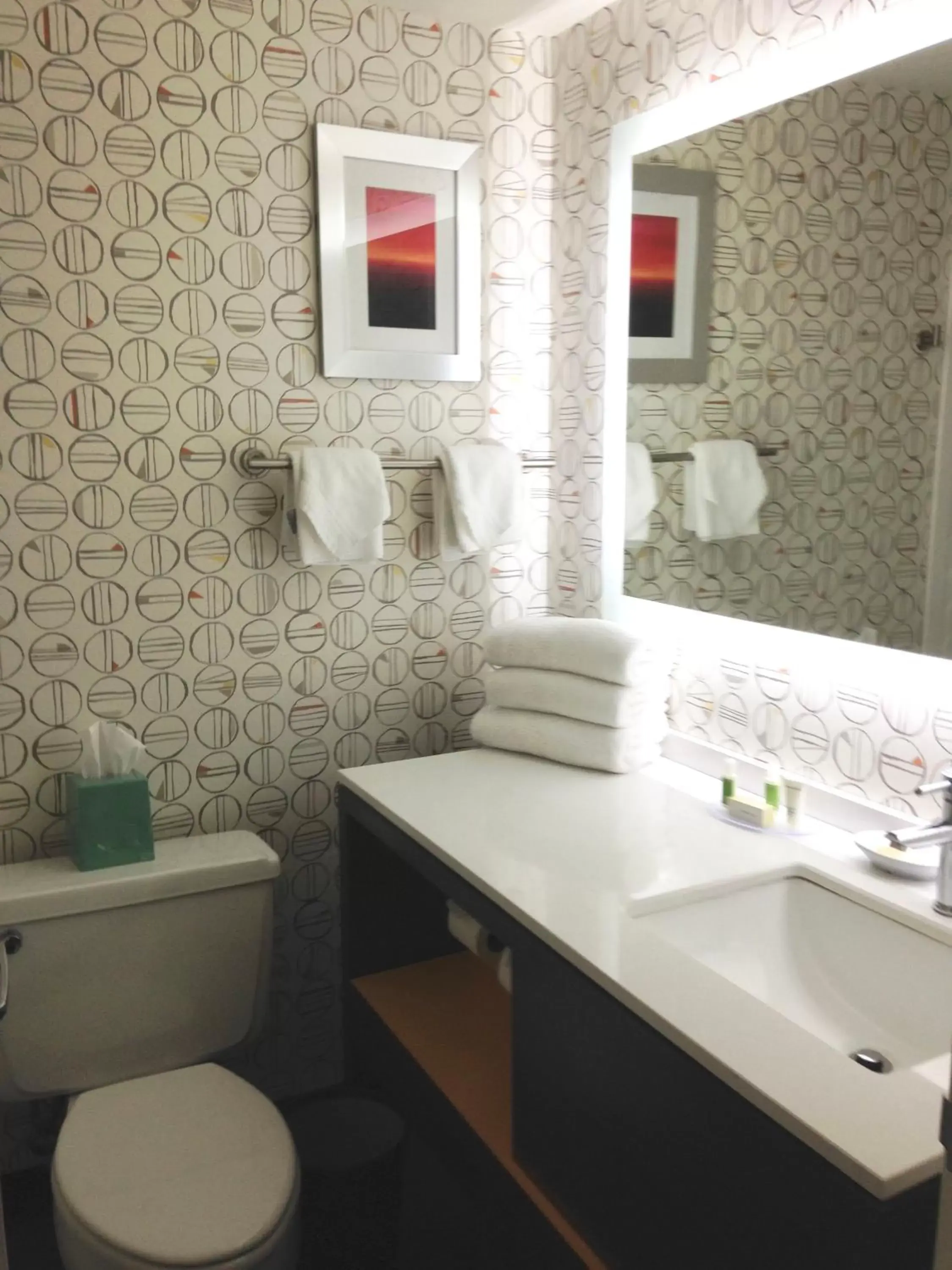 Toilet, Bathroom in Holiday Inn & Suites Pittsfield-Berkshires, an IHG Hotel