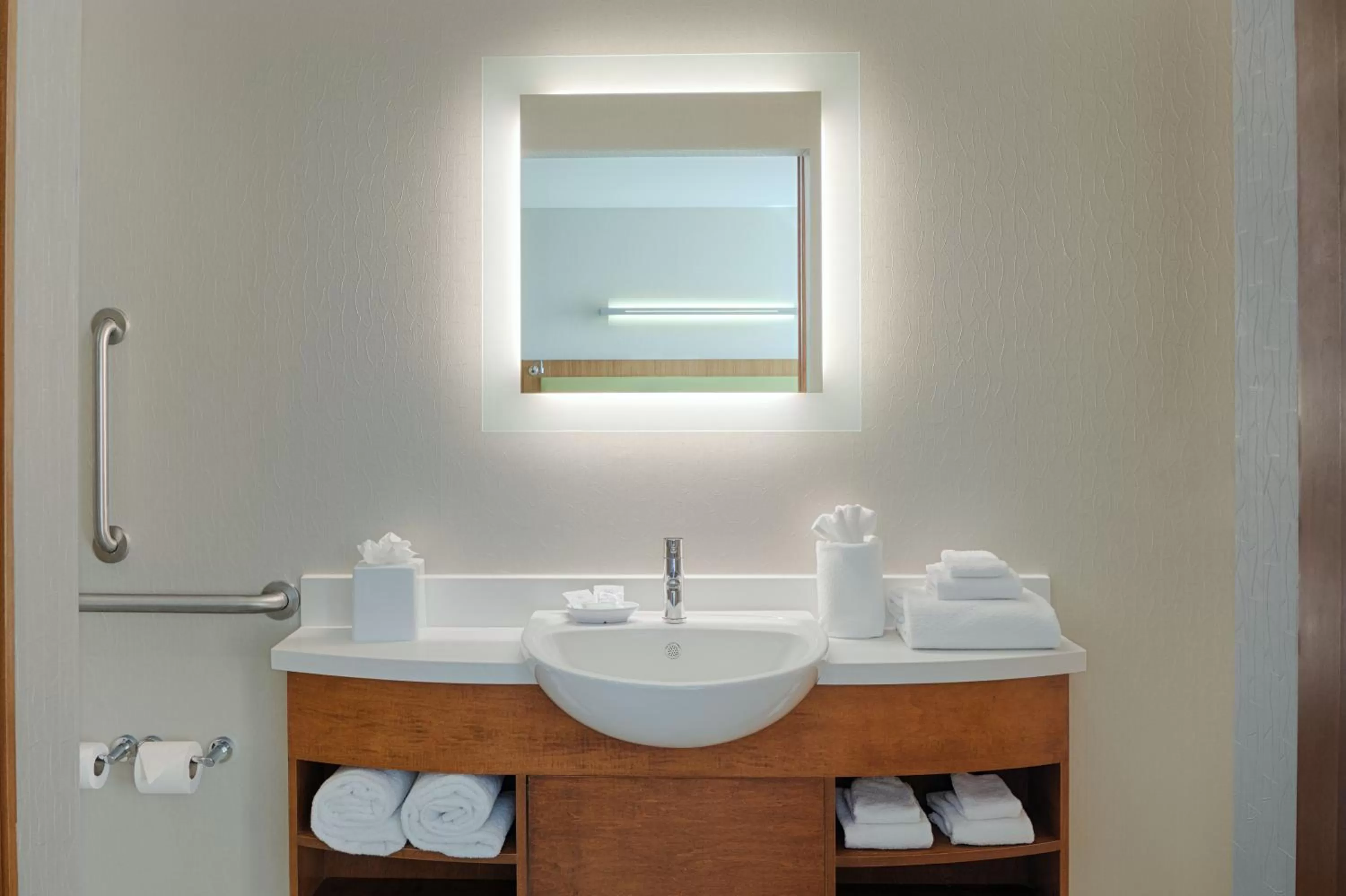 Bathroom in SpringHill Suites by Marriott Bloomington