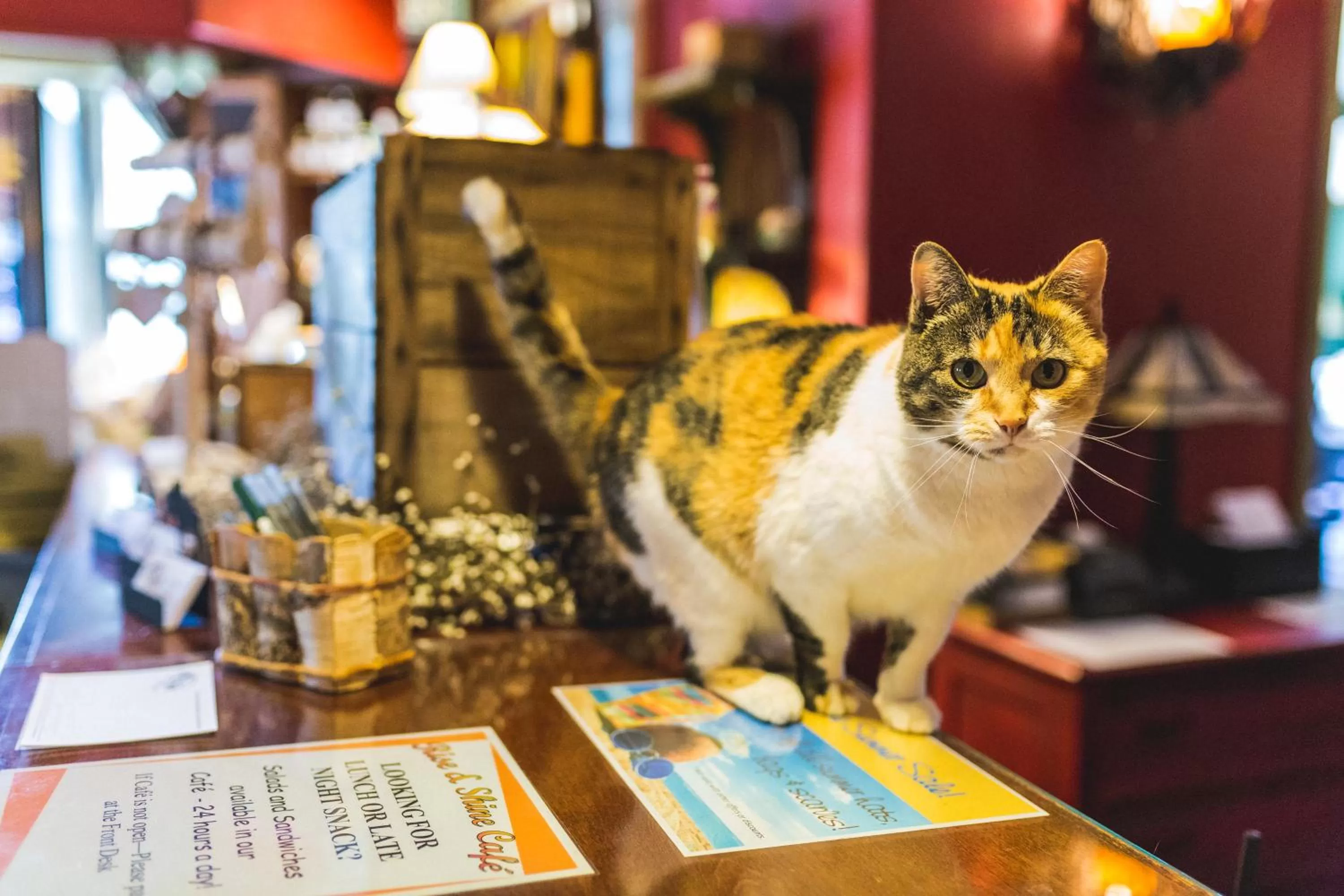 Lobby or reception in The Common Man Inn, Spa & Lodge