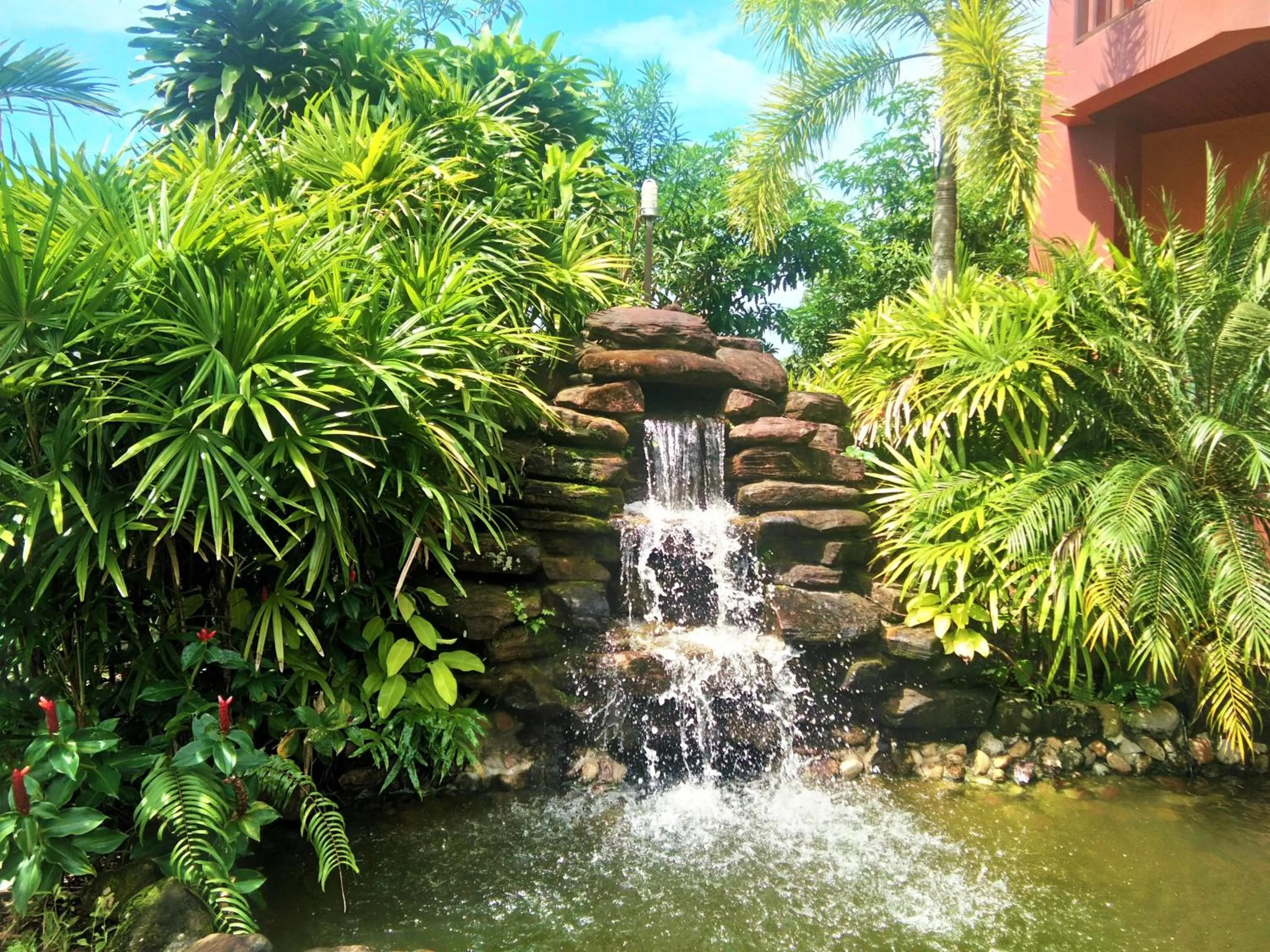 Natural landscape in Andamanee Boutique Resort Aonang Krabi - Free Beach Shuttle