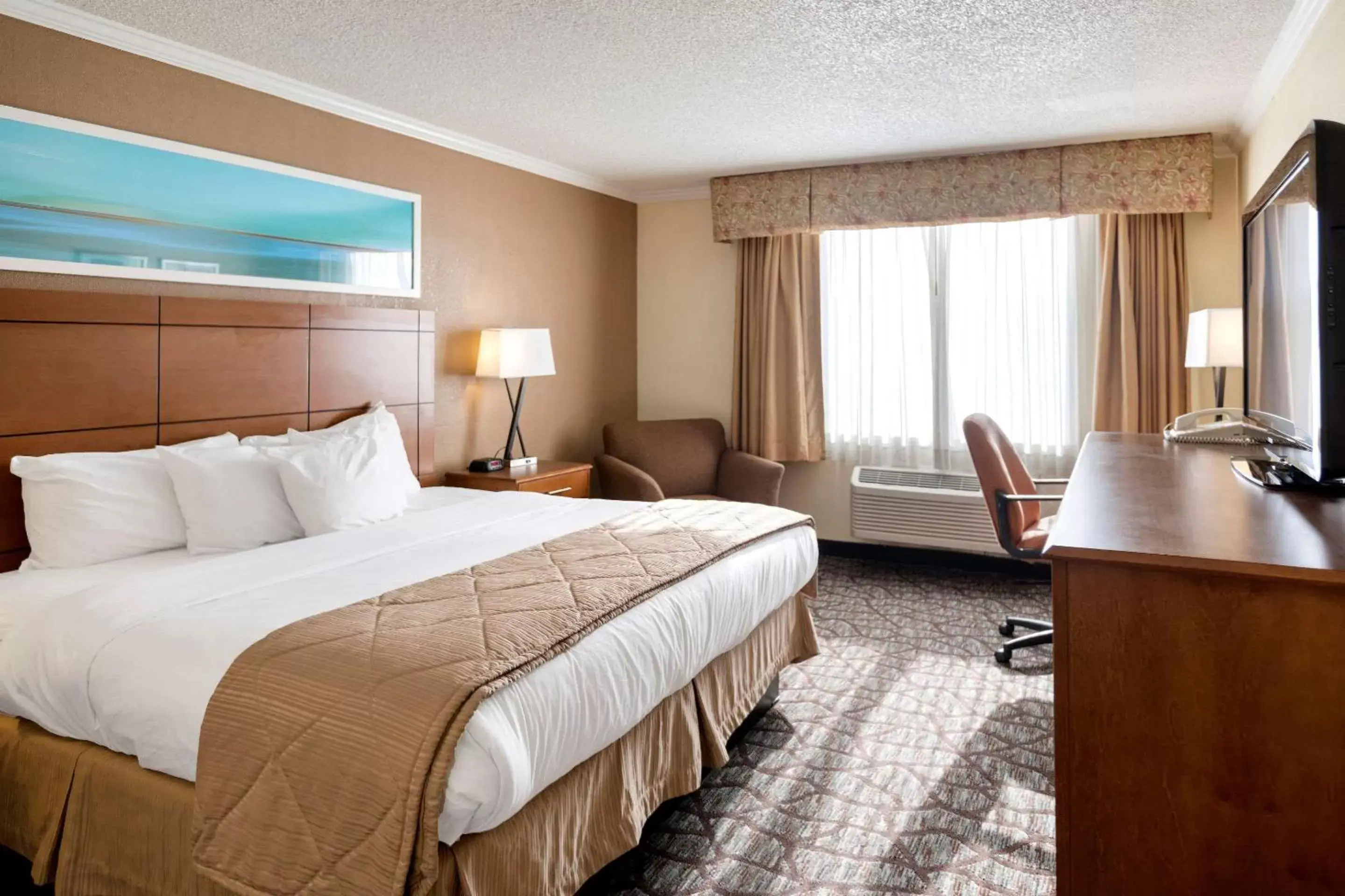 Photo of the whole room, Bed in Clarion Hotel Detroit Metro Airport